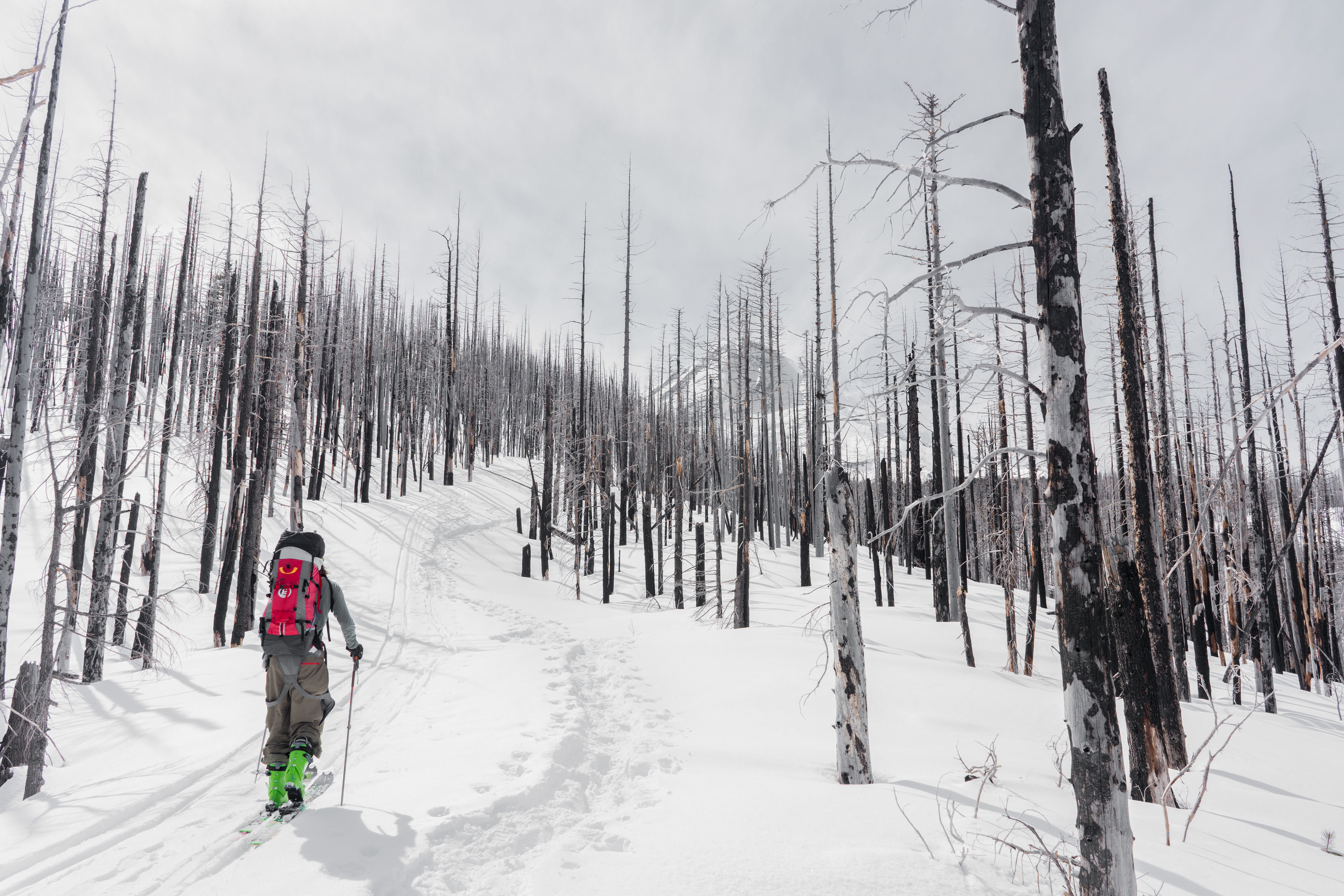 Tilly Jane - Mt.Hood