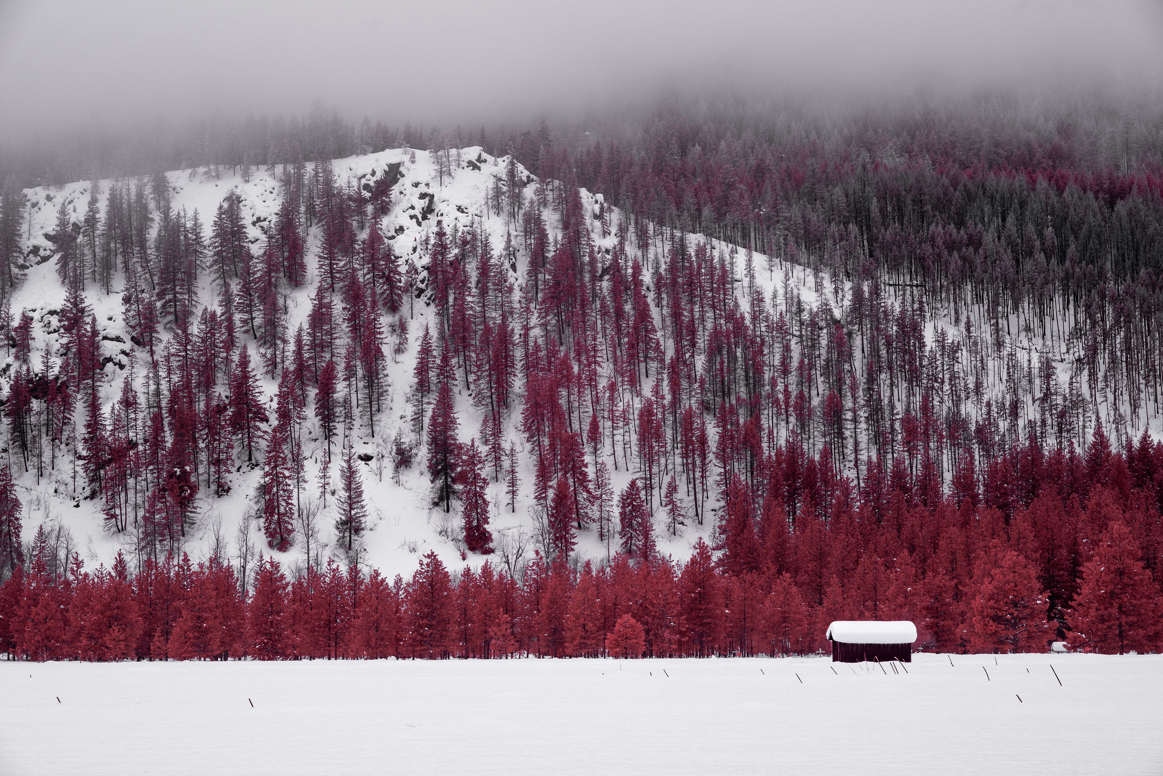Methow Valleyin IR Aerochrome