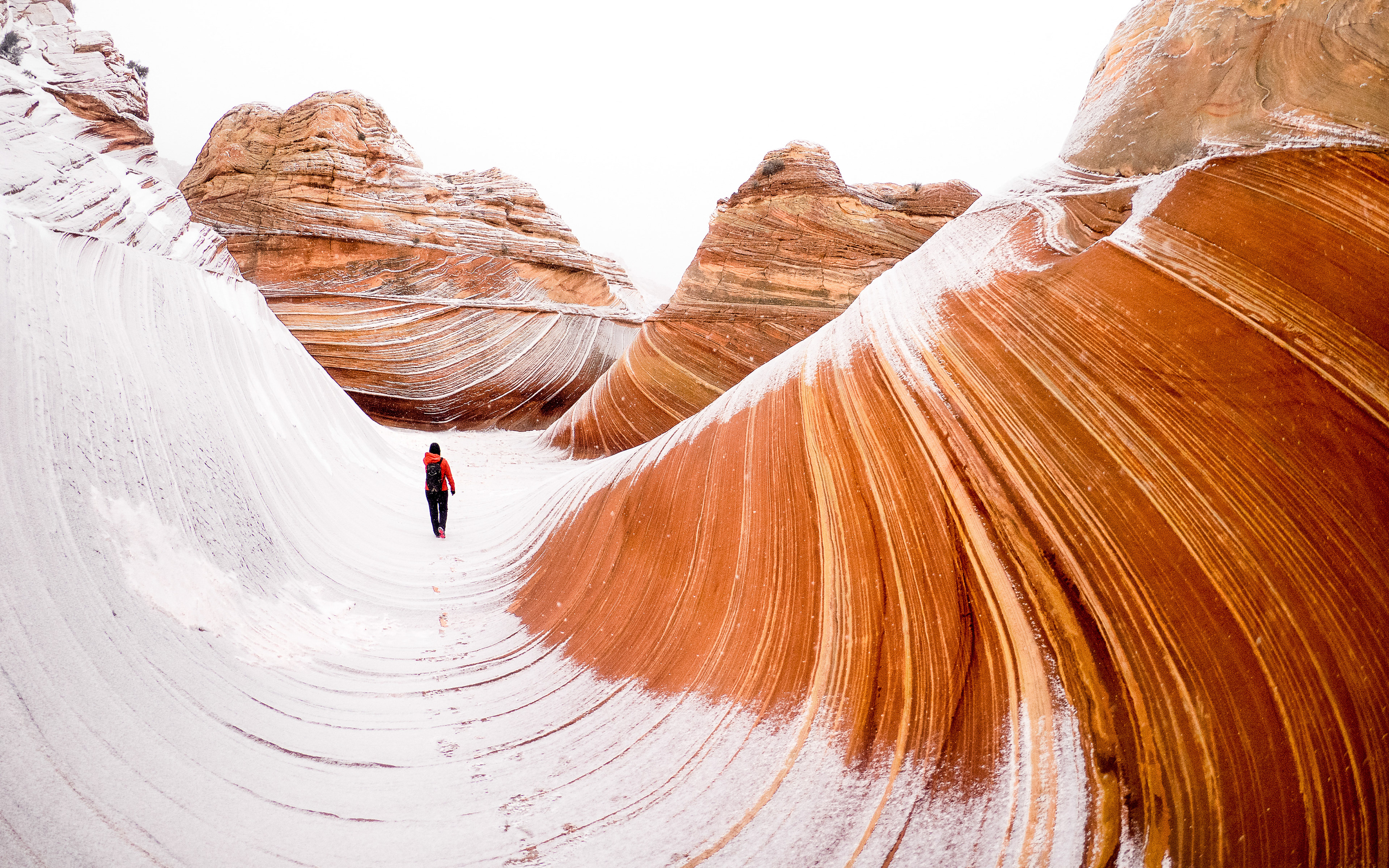 The Wave
