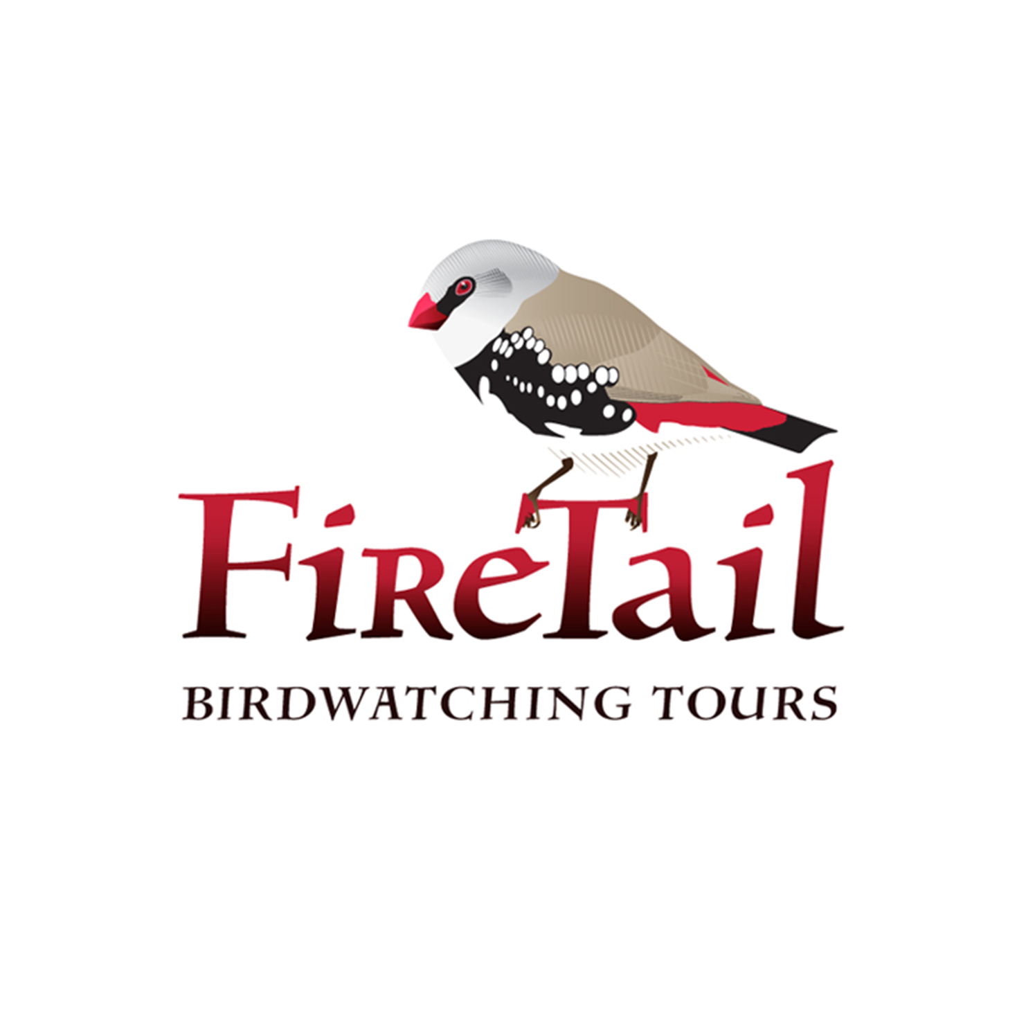 Firetail Birdwatching Tours. Guiding and eco-tour business