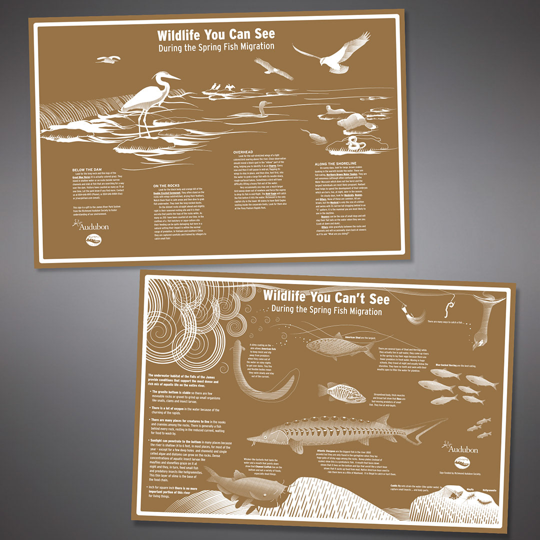 Informational signage for wildlife on the Floodwall, Richmond VA