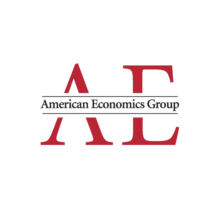 American Economics Group. Economic consulting and forecasting.