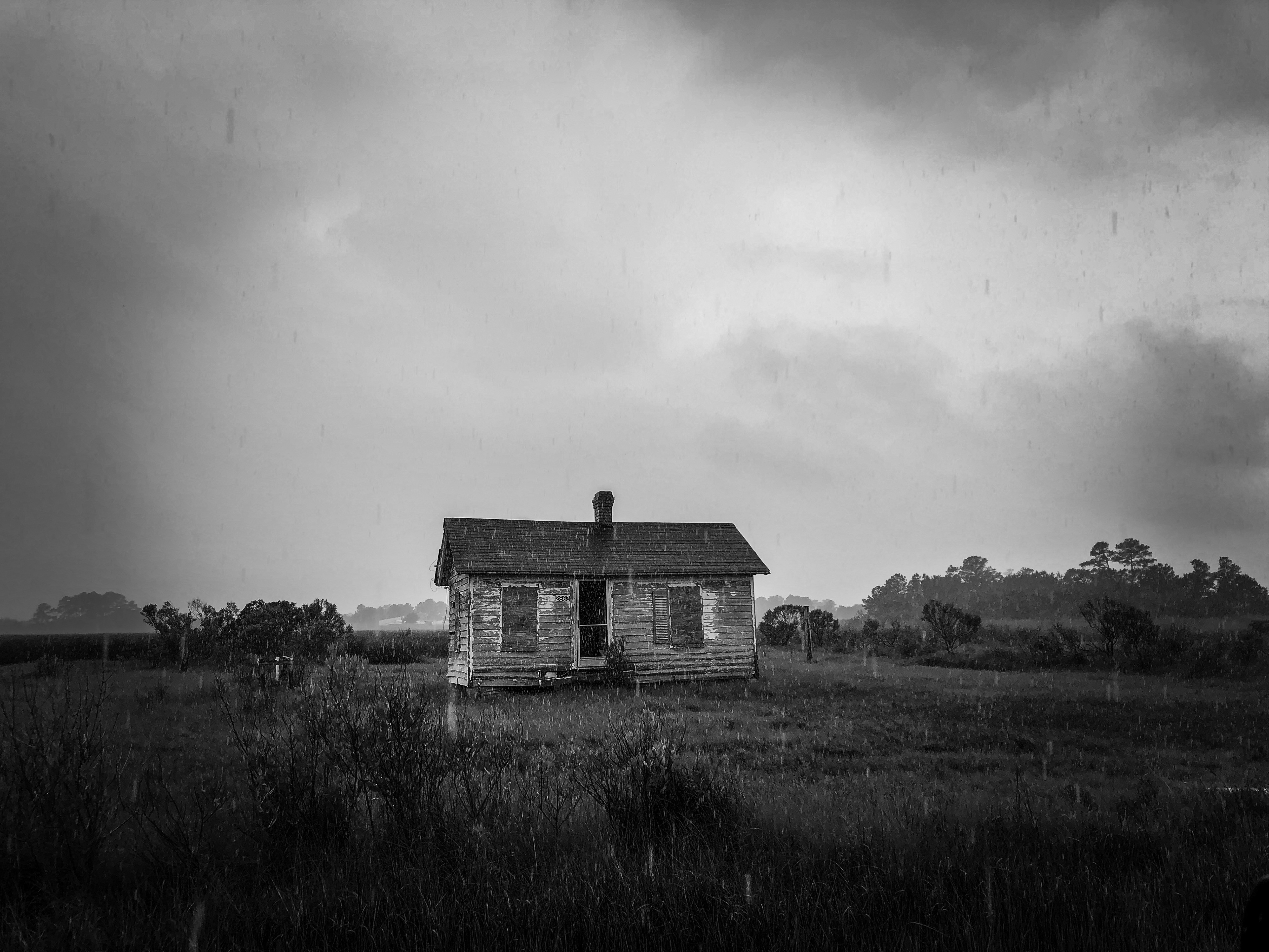 The Deluge