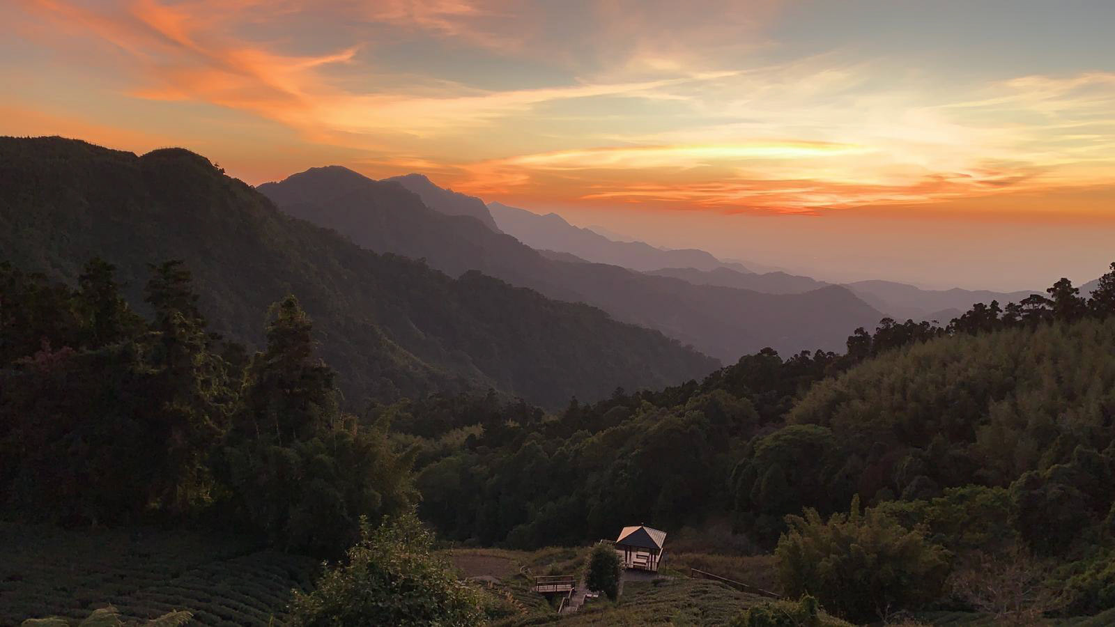 Alishan, Taiwan - 2019