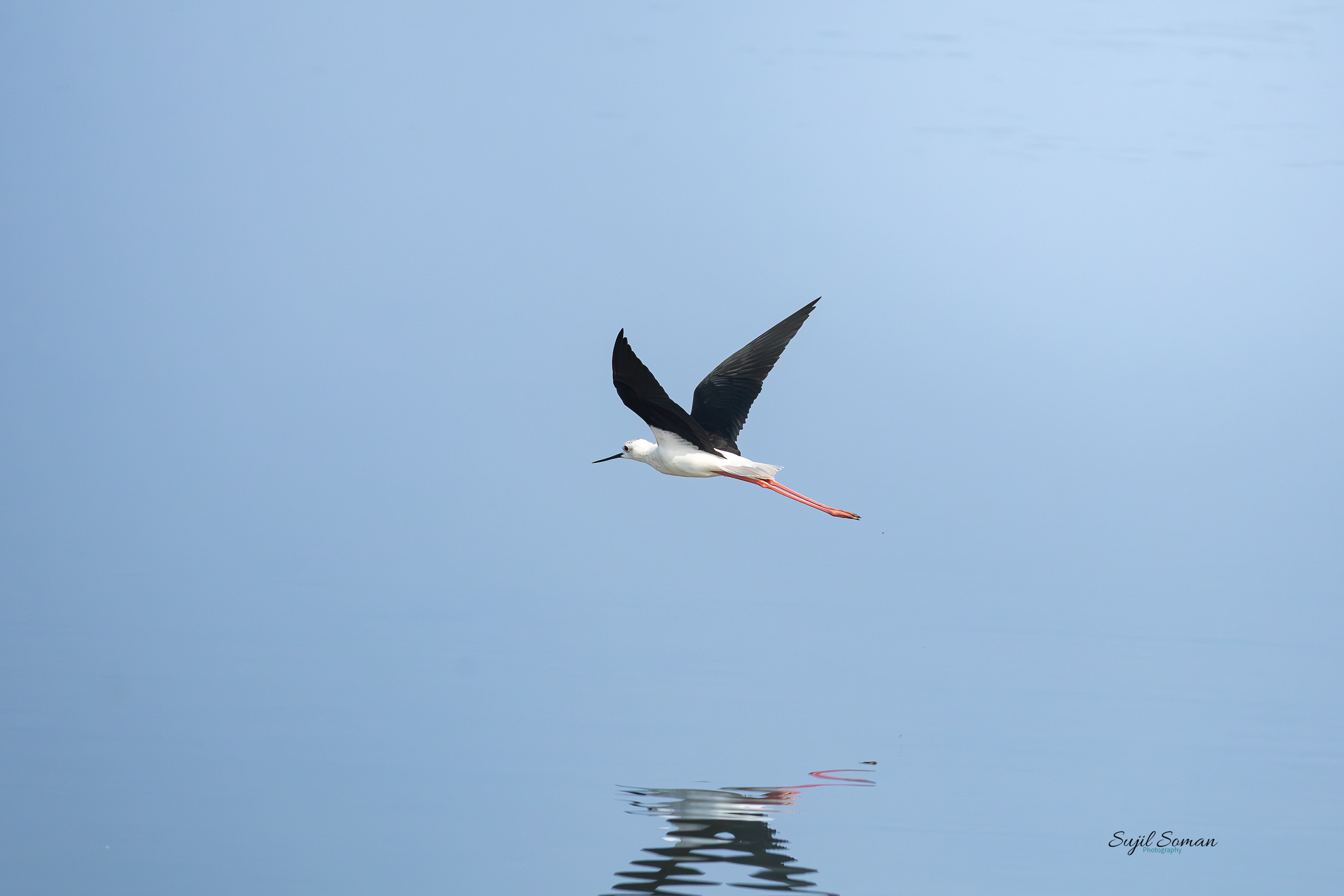 Flying across the lake