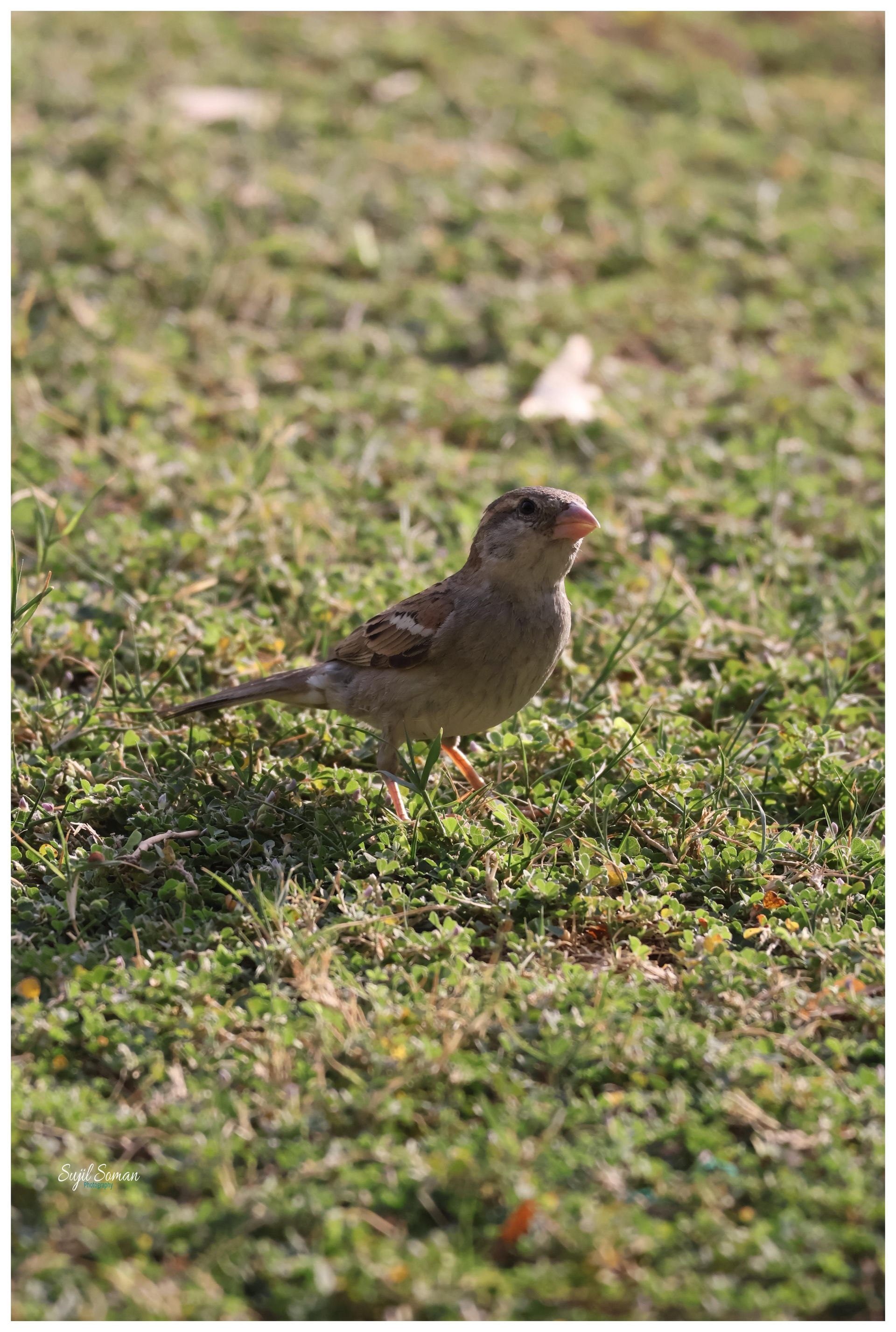 Are you staring at me??