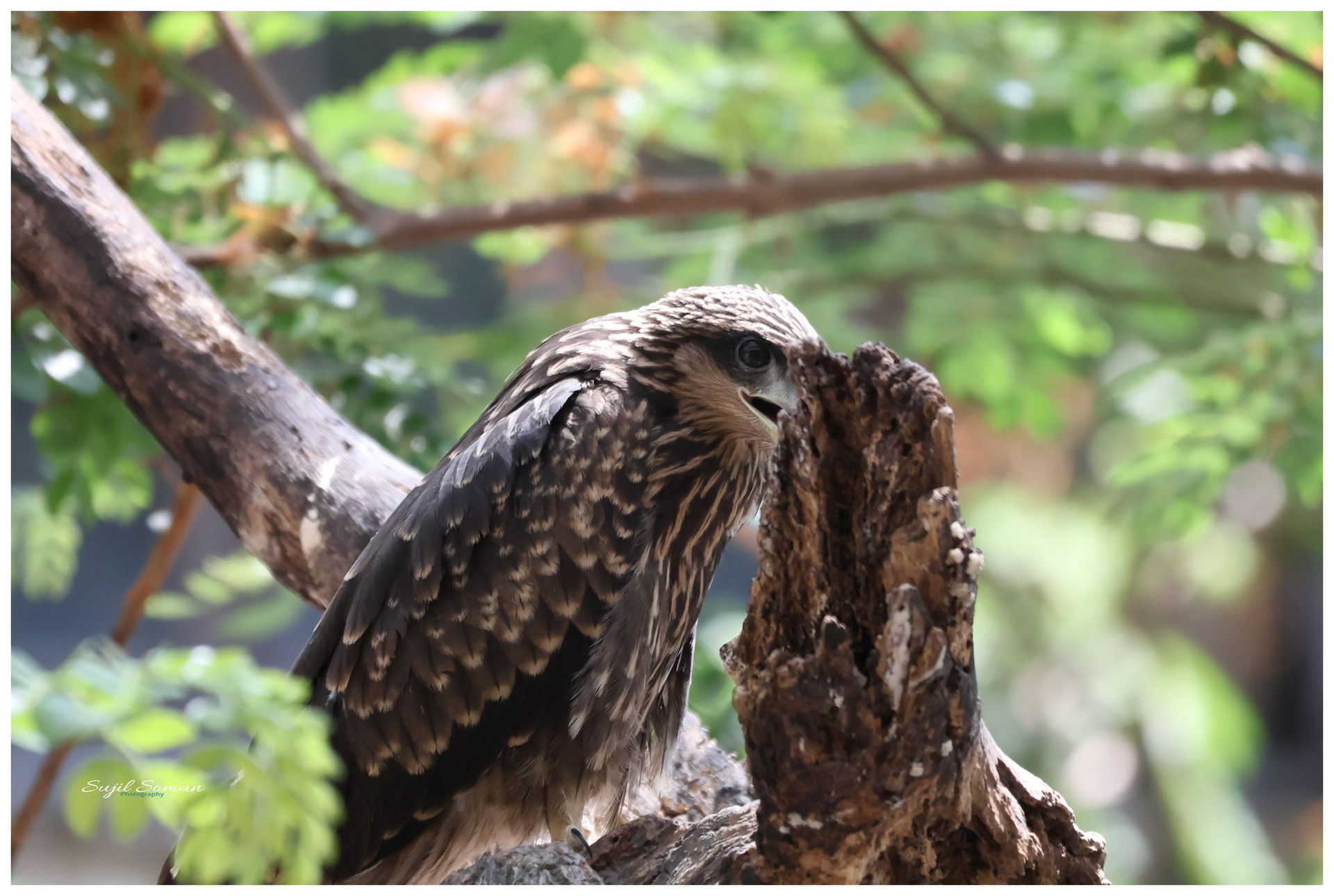 Getting Ready to fly