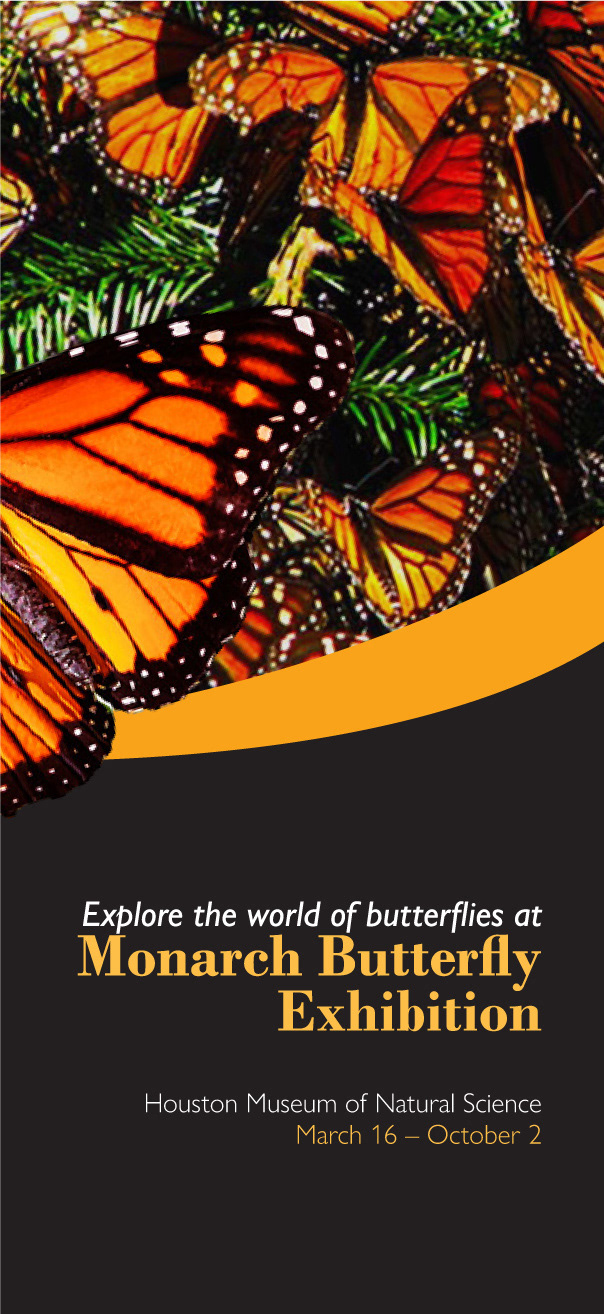 Rack Card (Front)