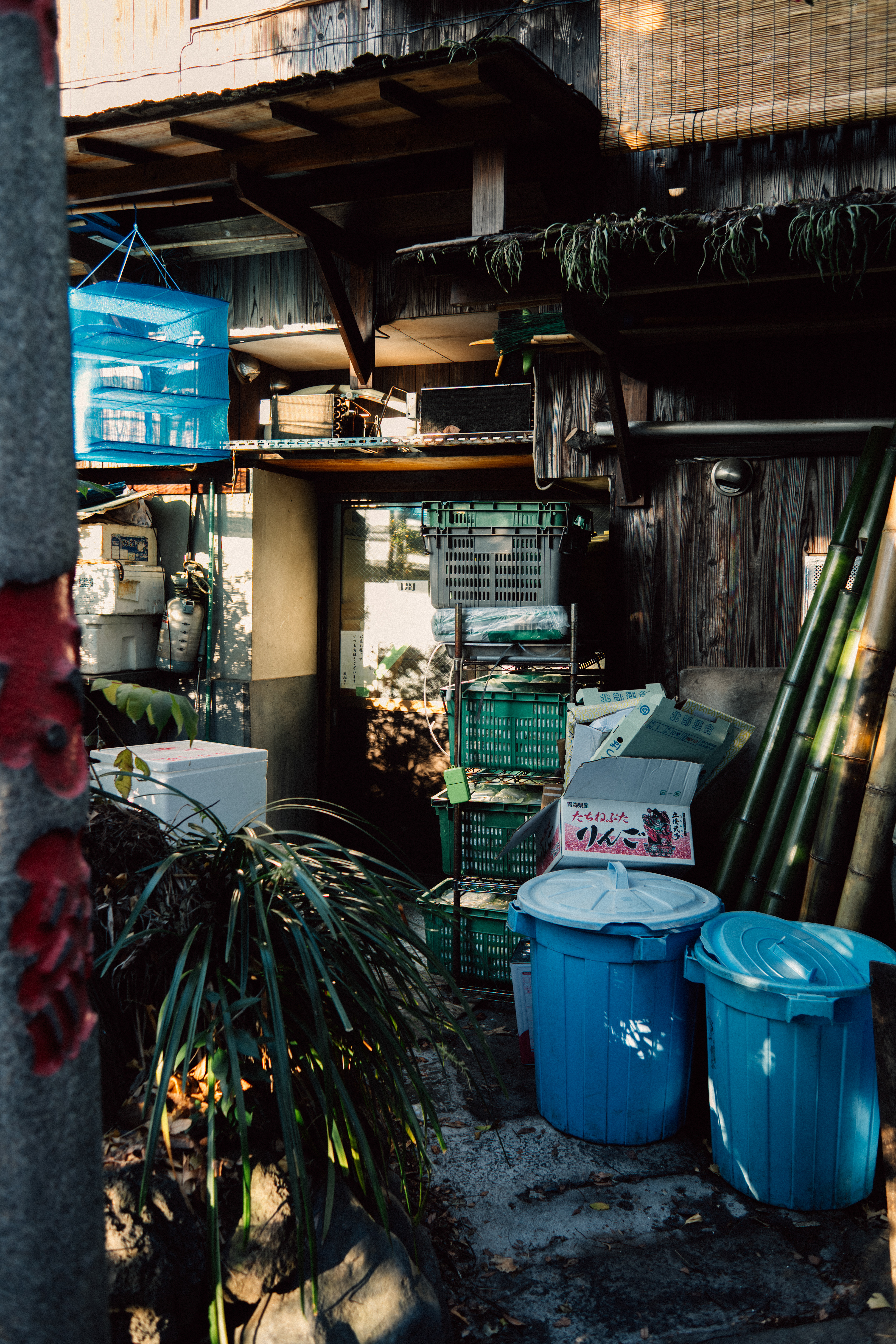 Sony A7RV | Minolta 50mm f/1.7