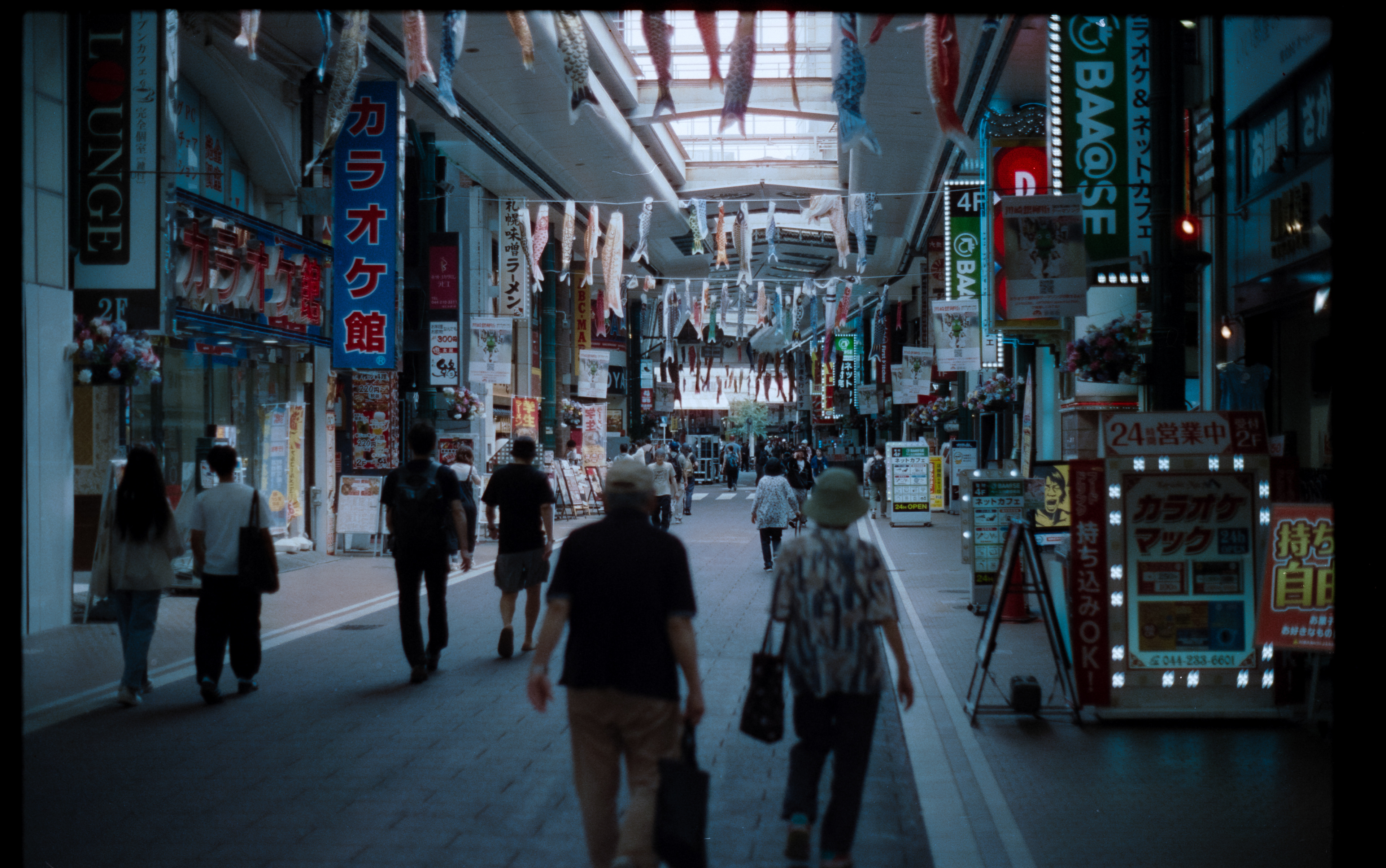 35mm CineStill 800T | Minolta Dynax4 | 50mm f/1.7