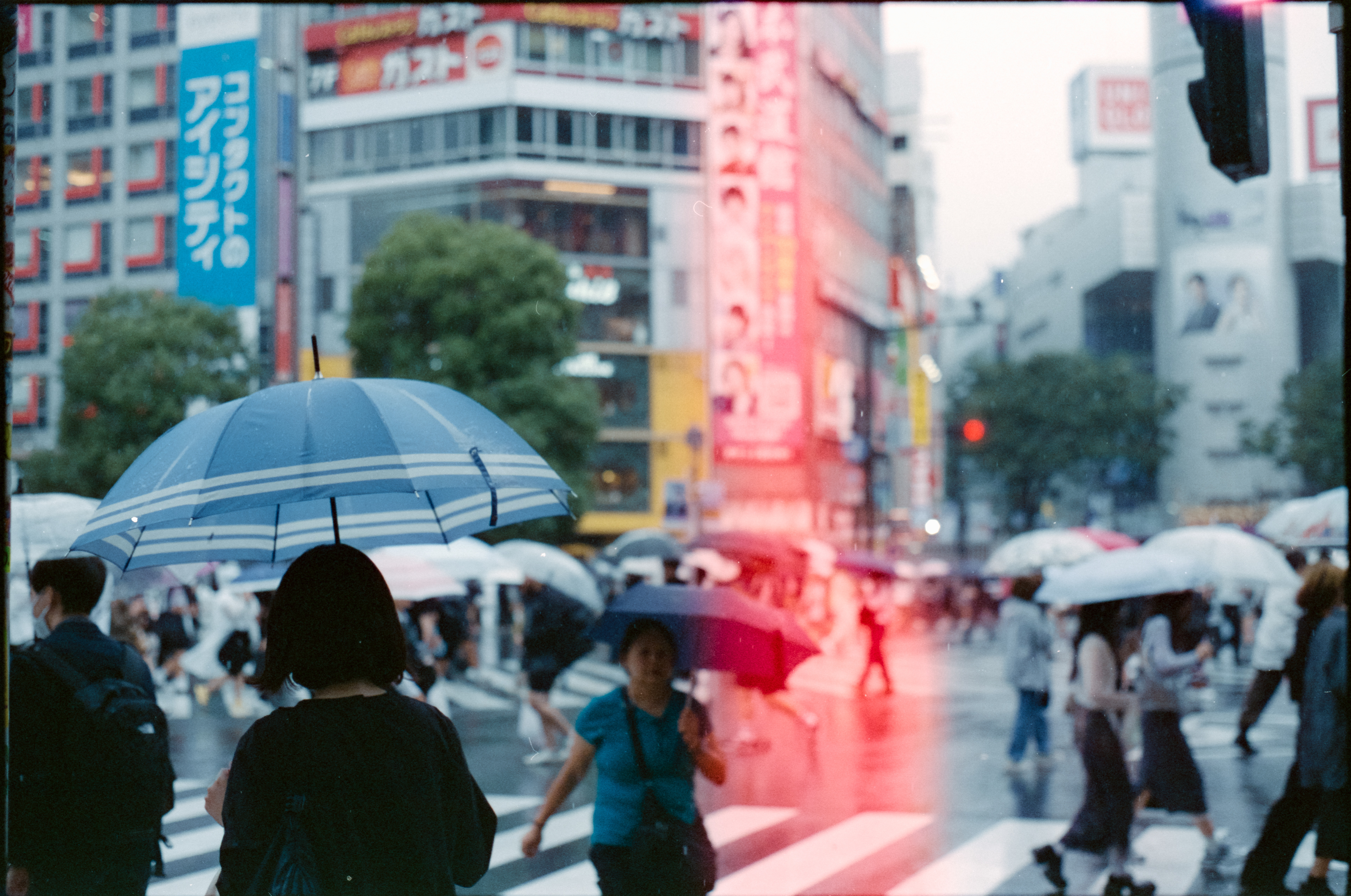 35mm CineStill 400D | Minolta Dynax4 | 50mm f/1.7