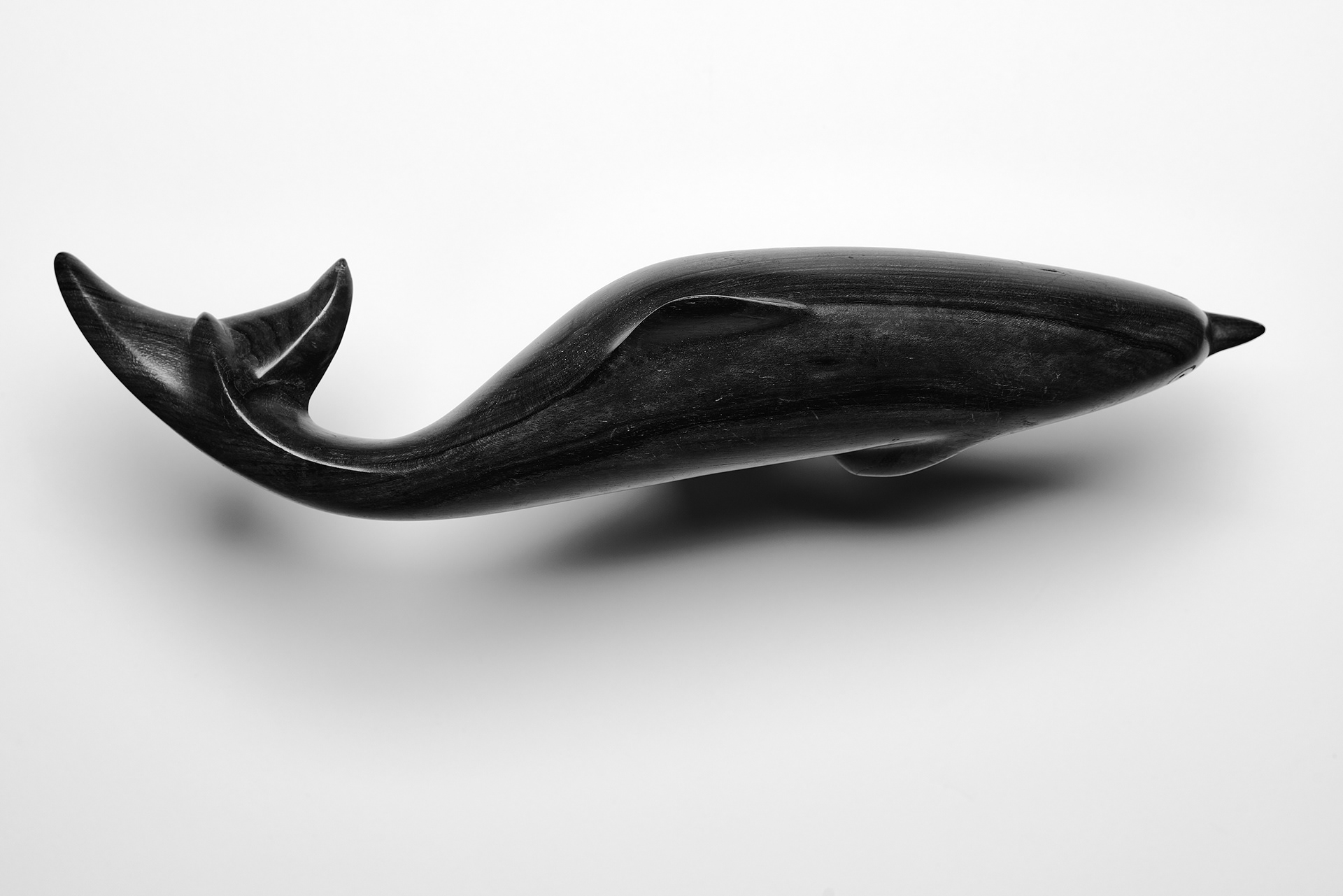Dolphin Art