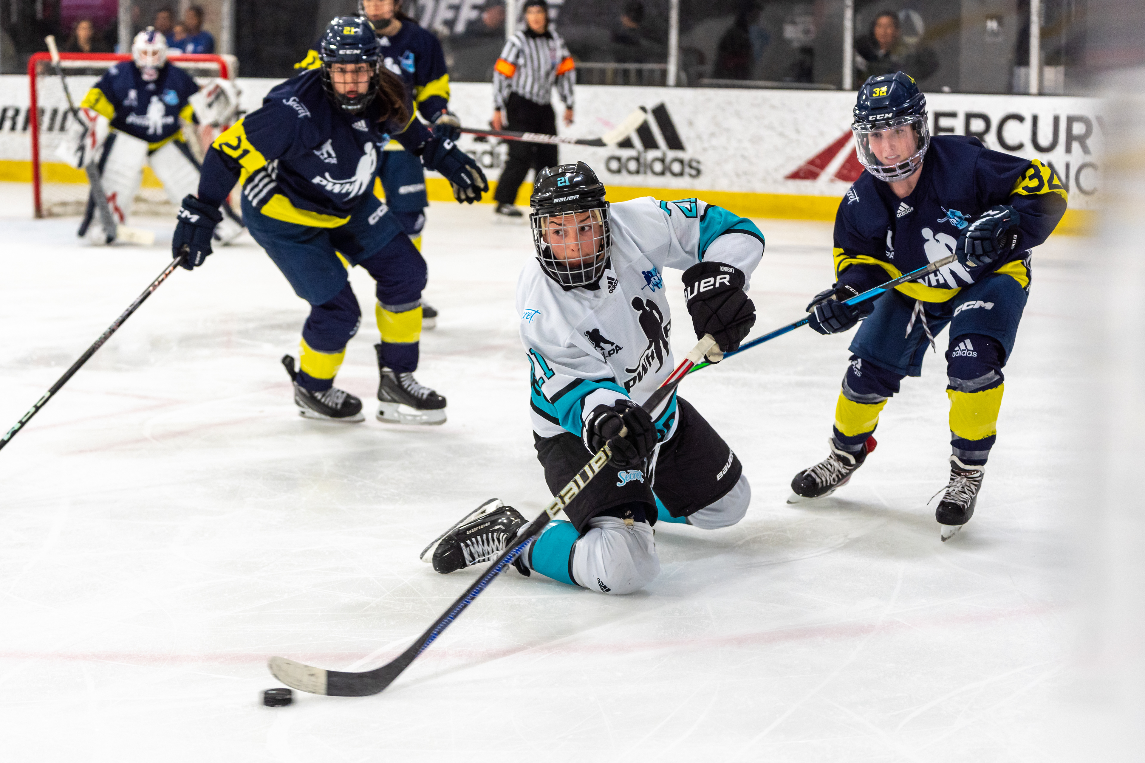 Hilary Knight
