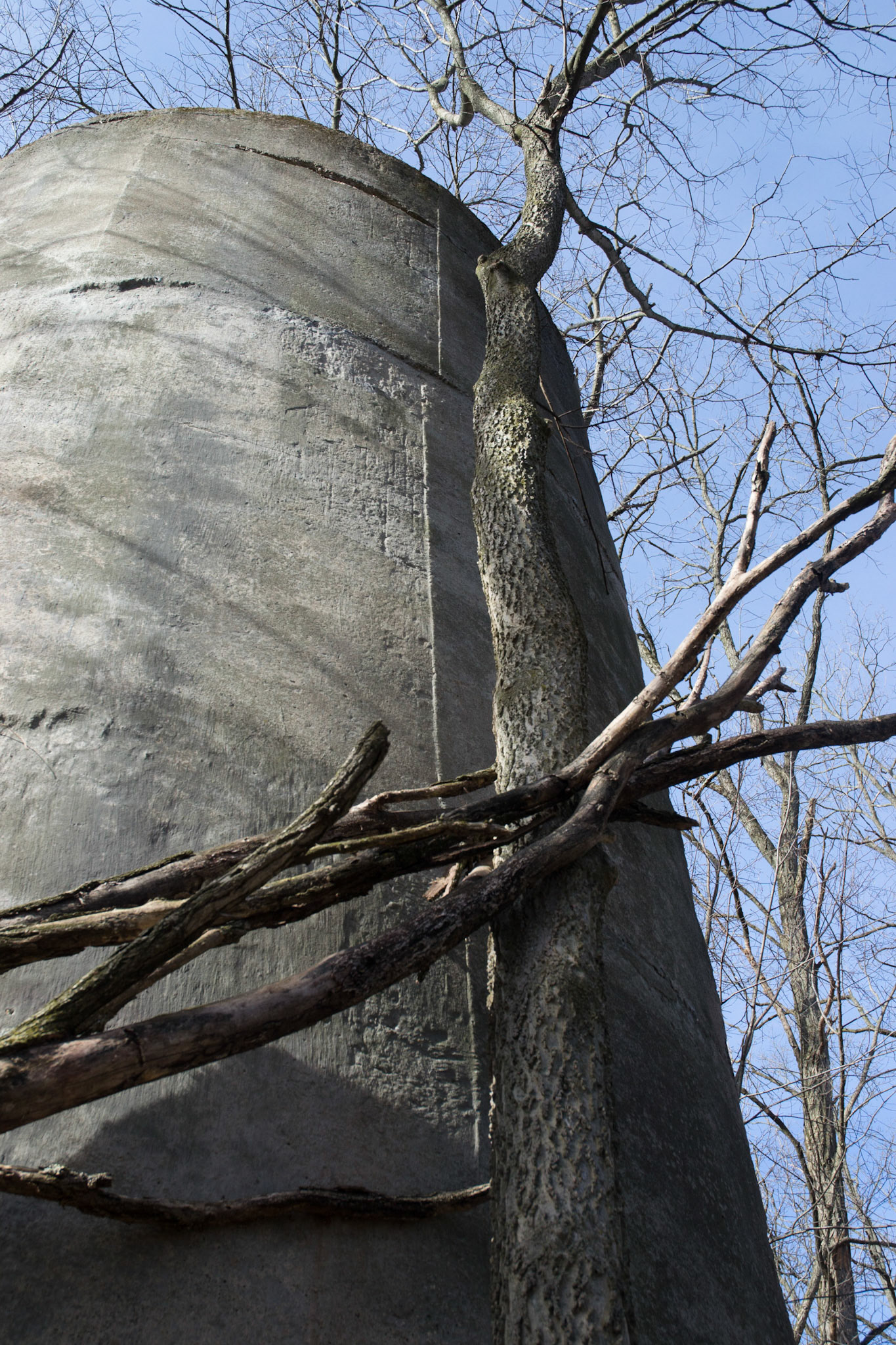 Our walk at Ft. Custer