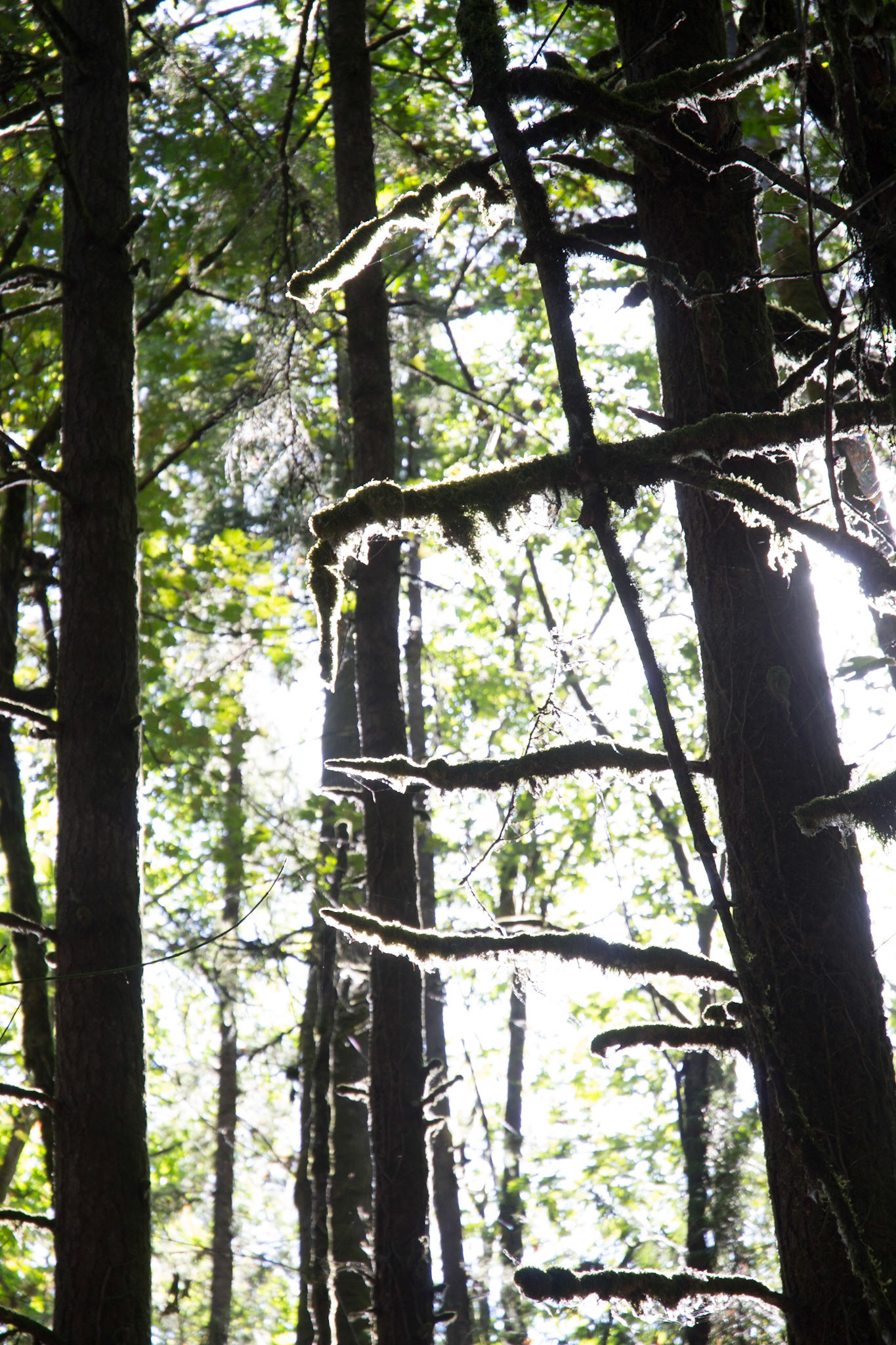 A lovely place for a walk!