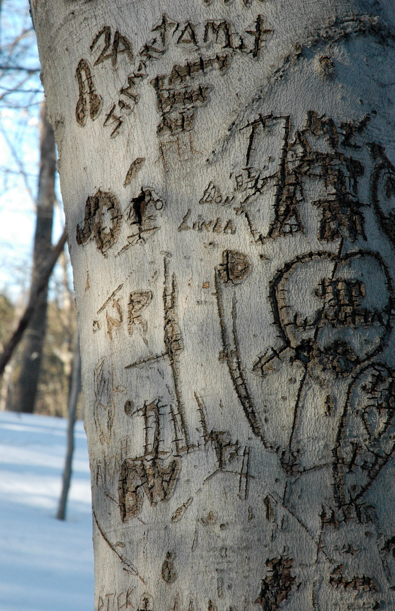 More from my memories collection!