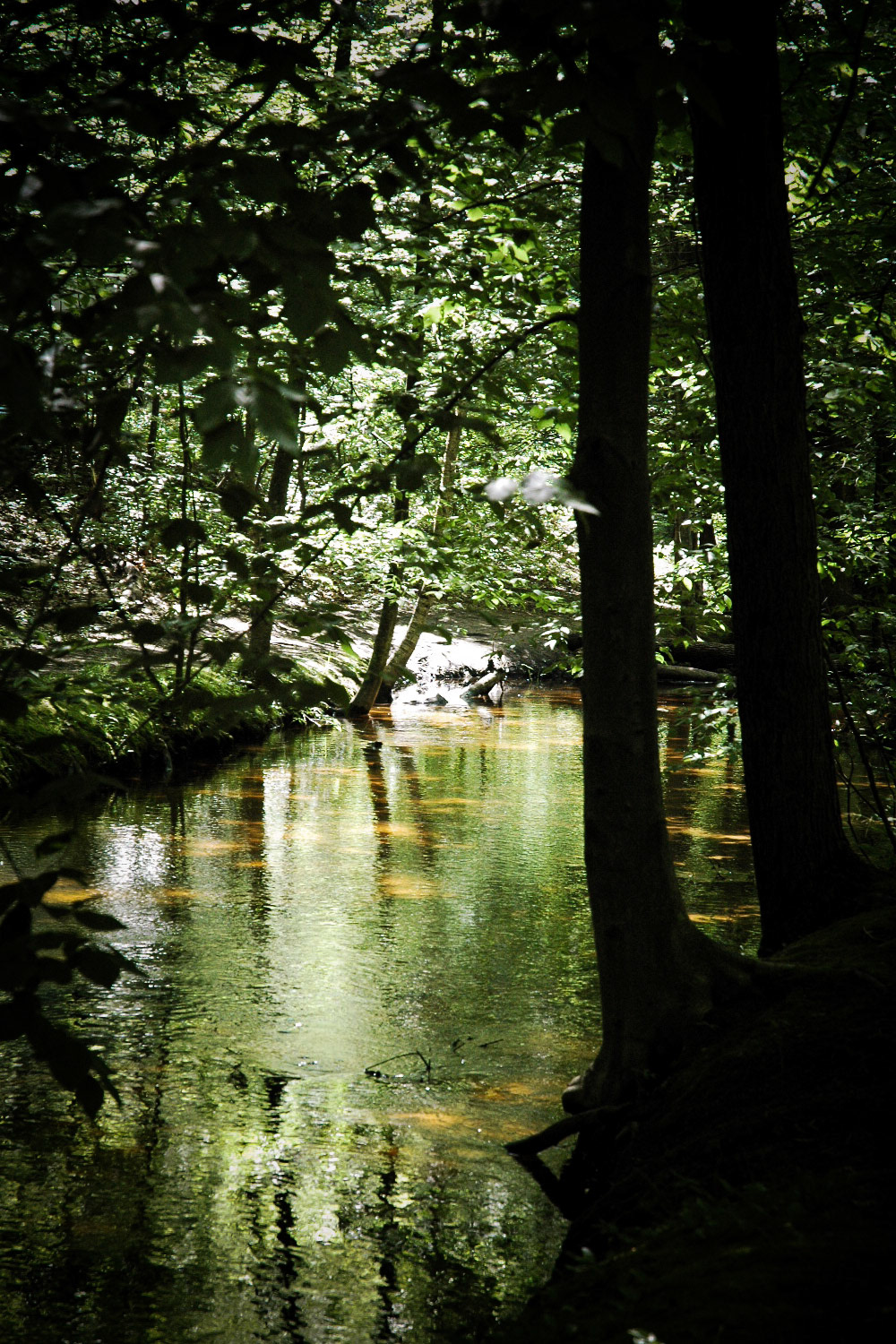 P.J. Hoffmaster State Park 2009