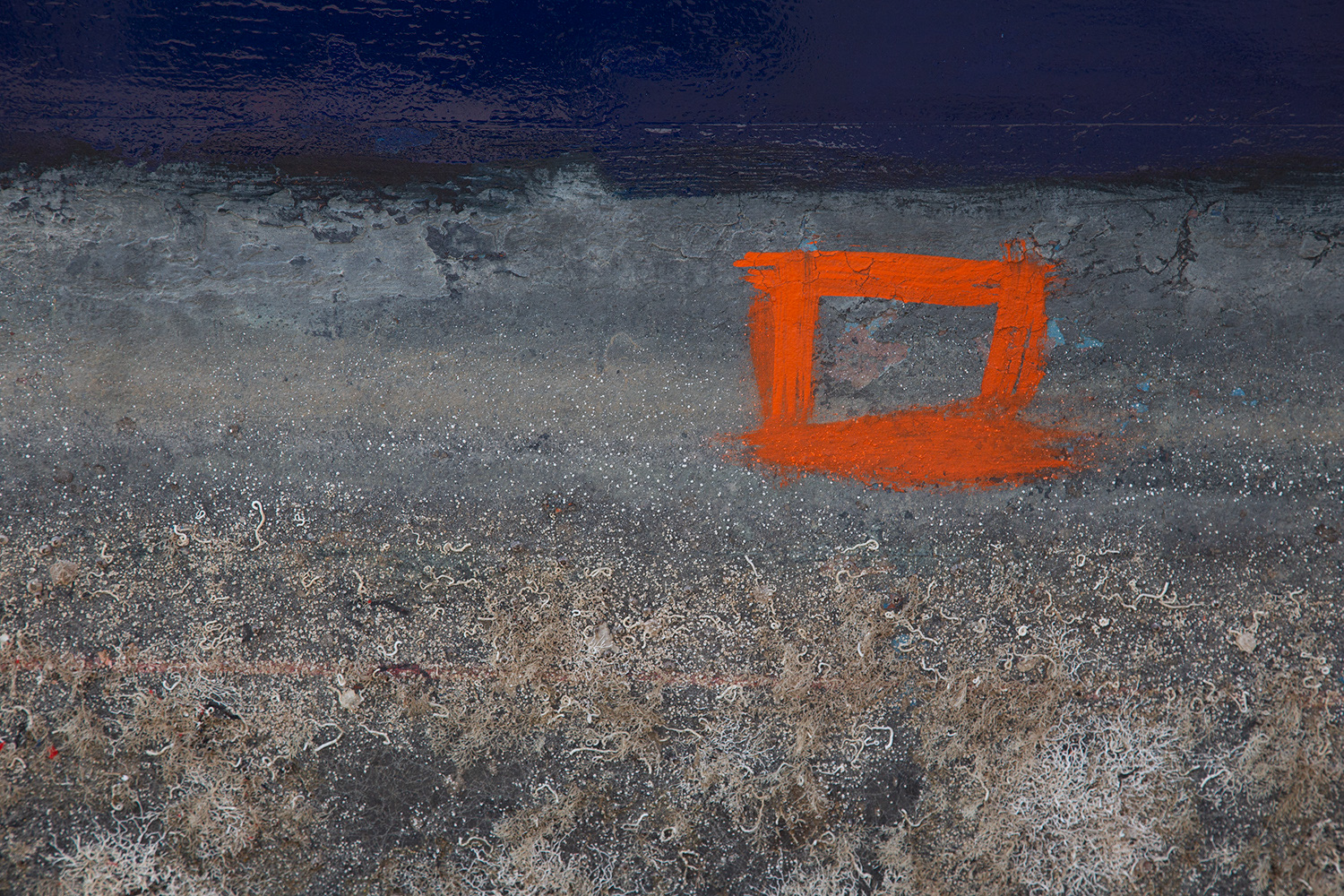 Orange rectangle