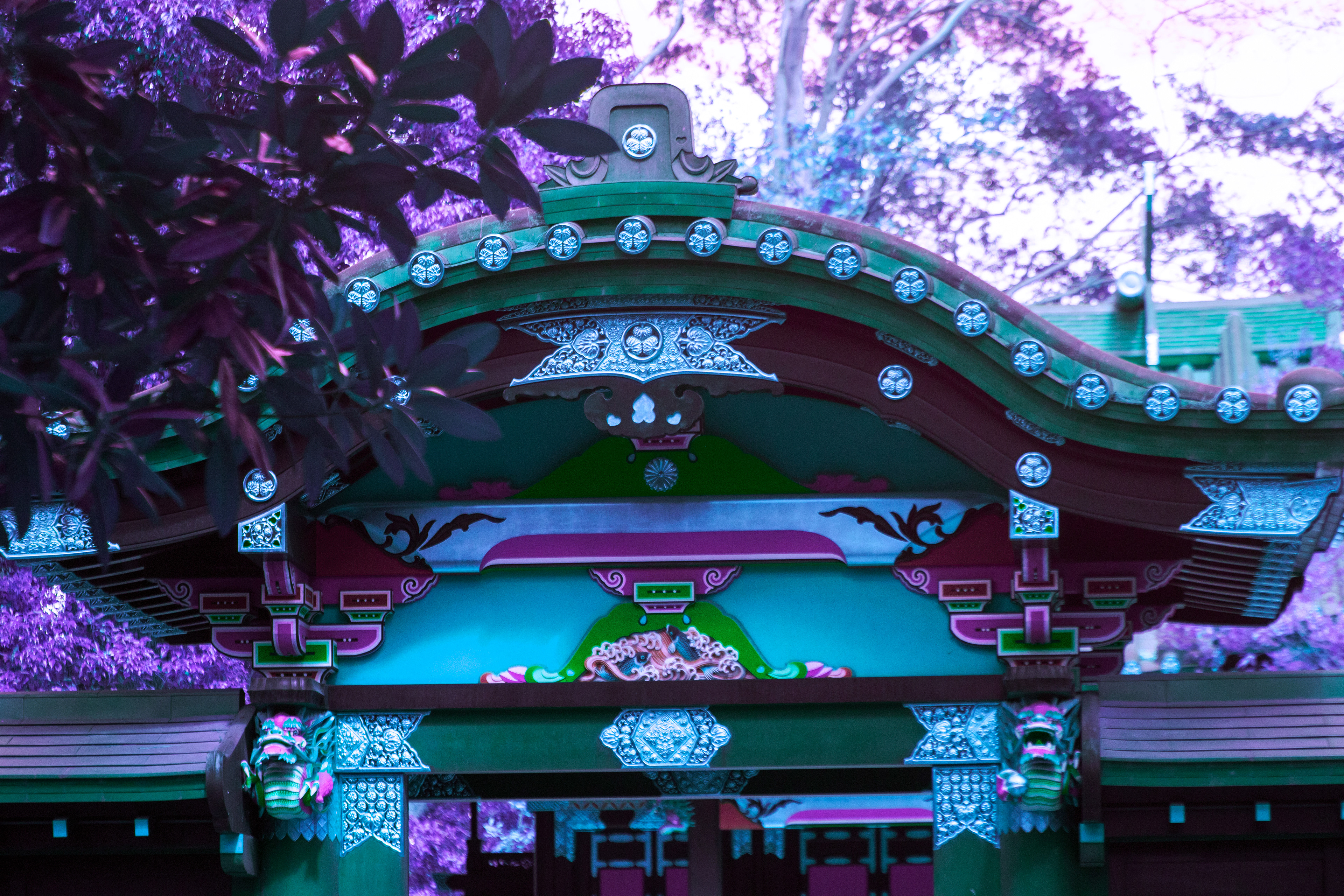 Location: Chiba, Funbashi (2018)