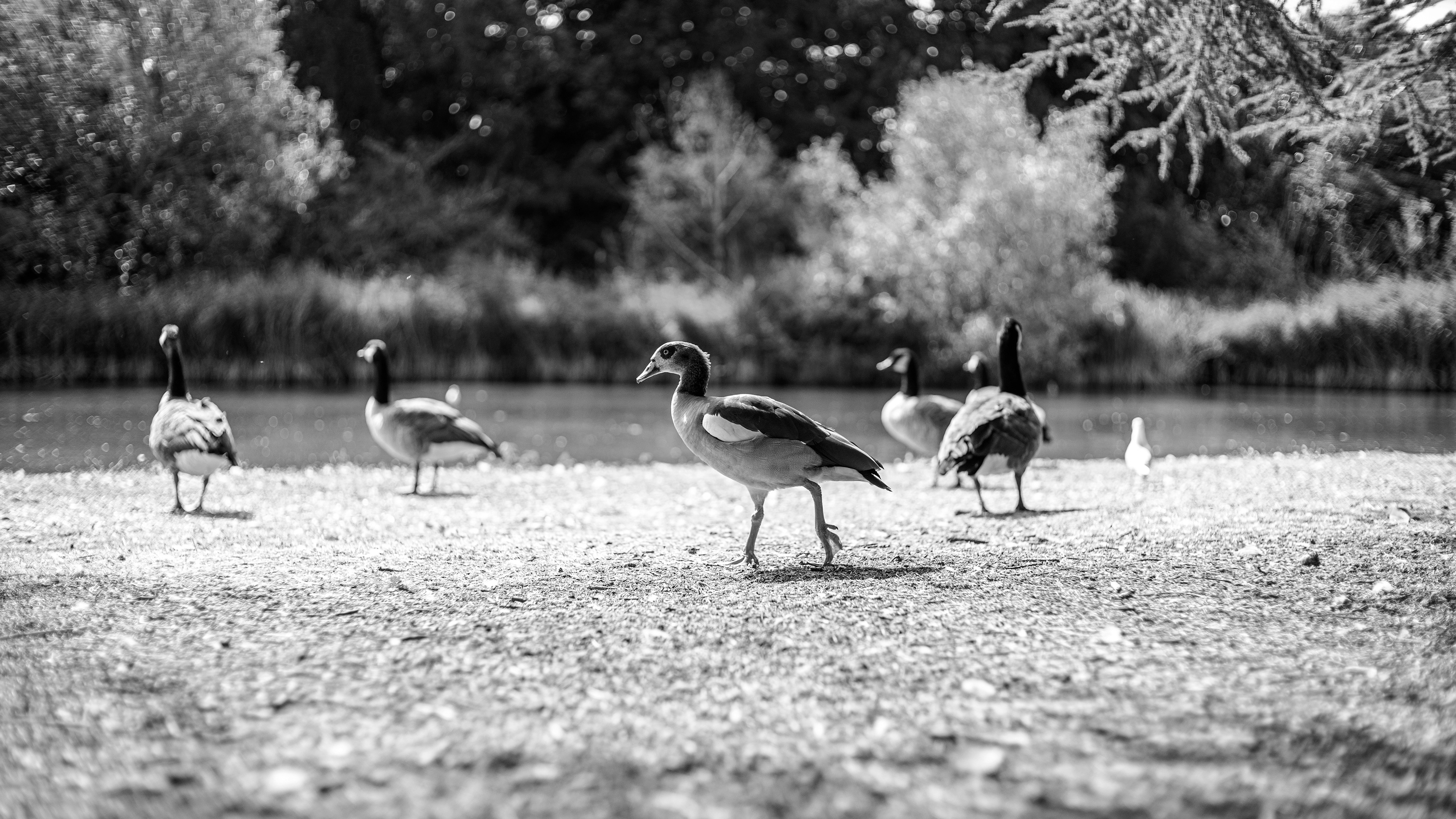 Location: London, Osterley Park, United Kingdom (2020)