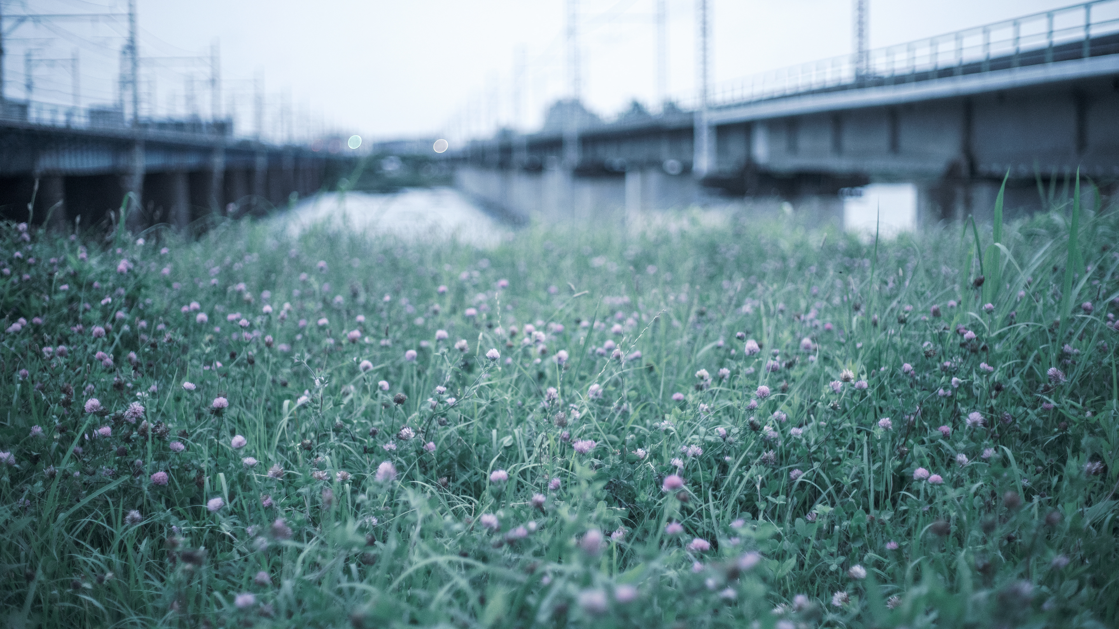 Location: Kanagawa, Hiratsuka, Japan (2019)