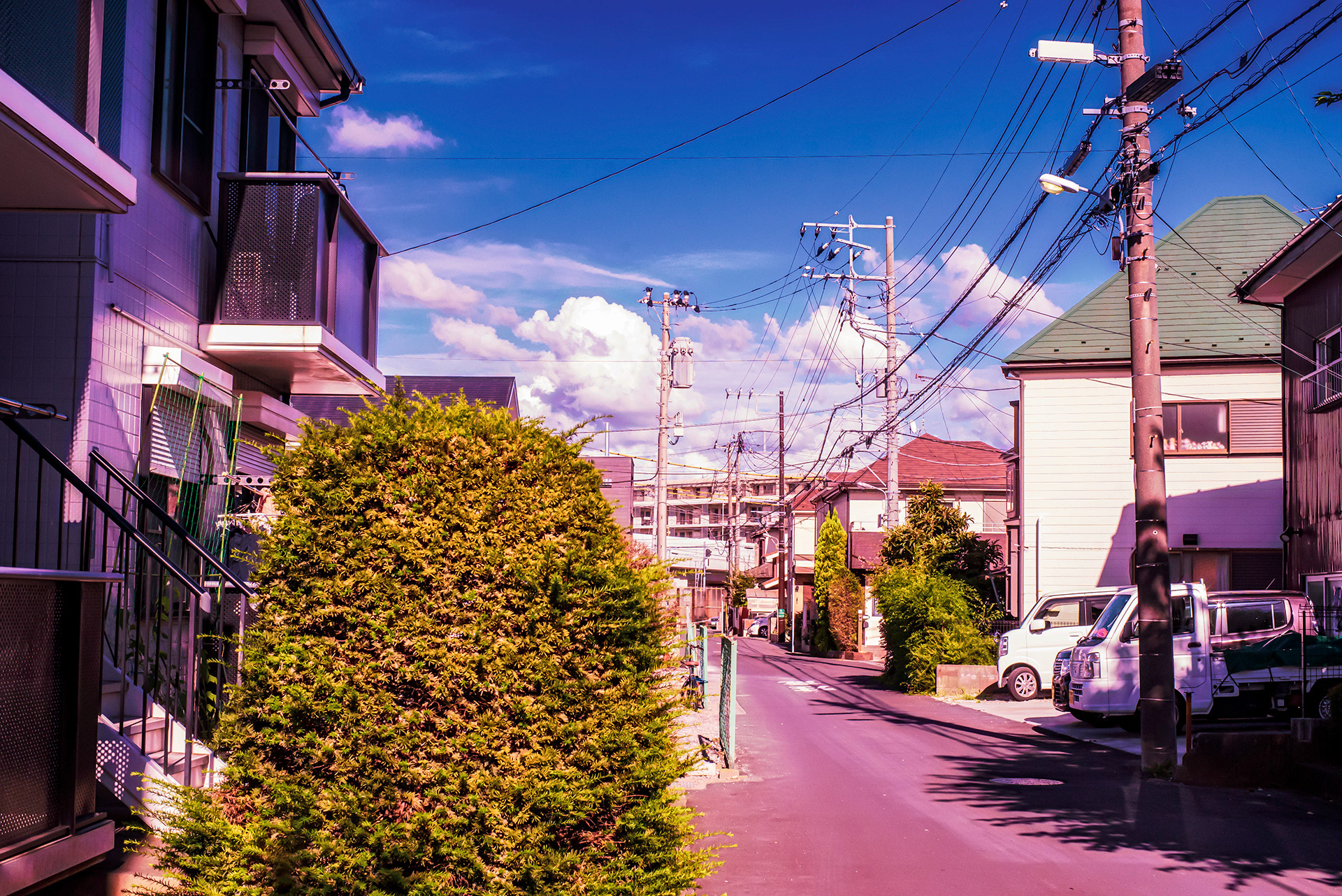 Location: Chiba, Kamagya, Japan (2019)