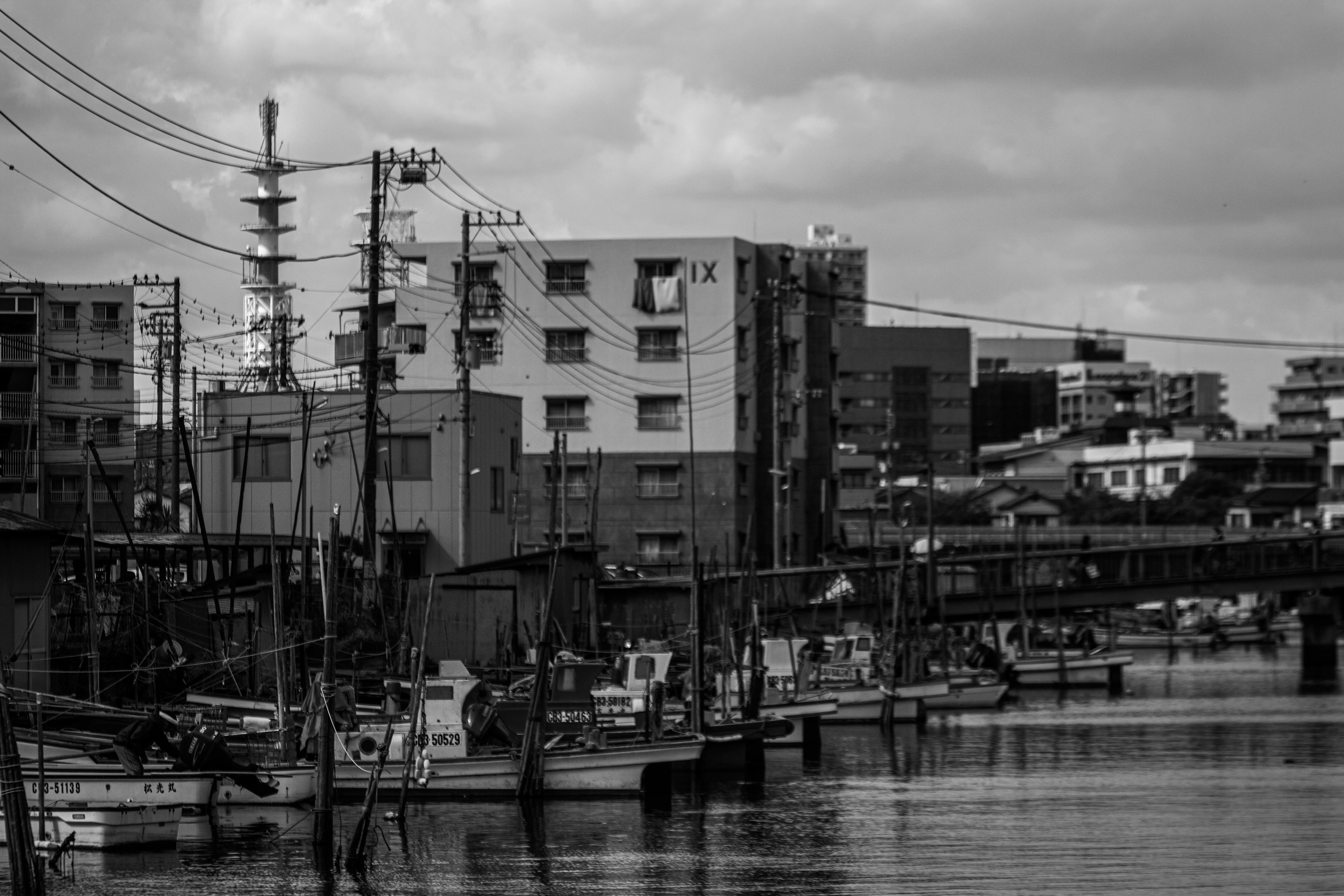 Location: Chiba, Funabashi, Japan (2018)