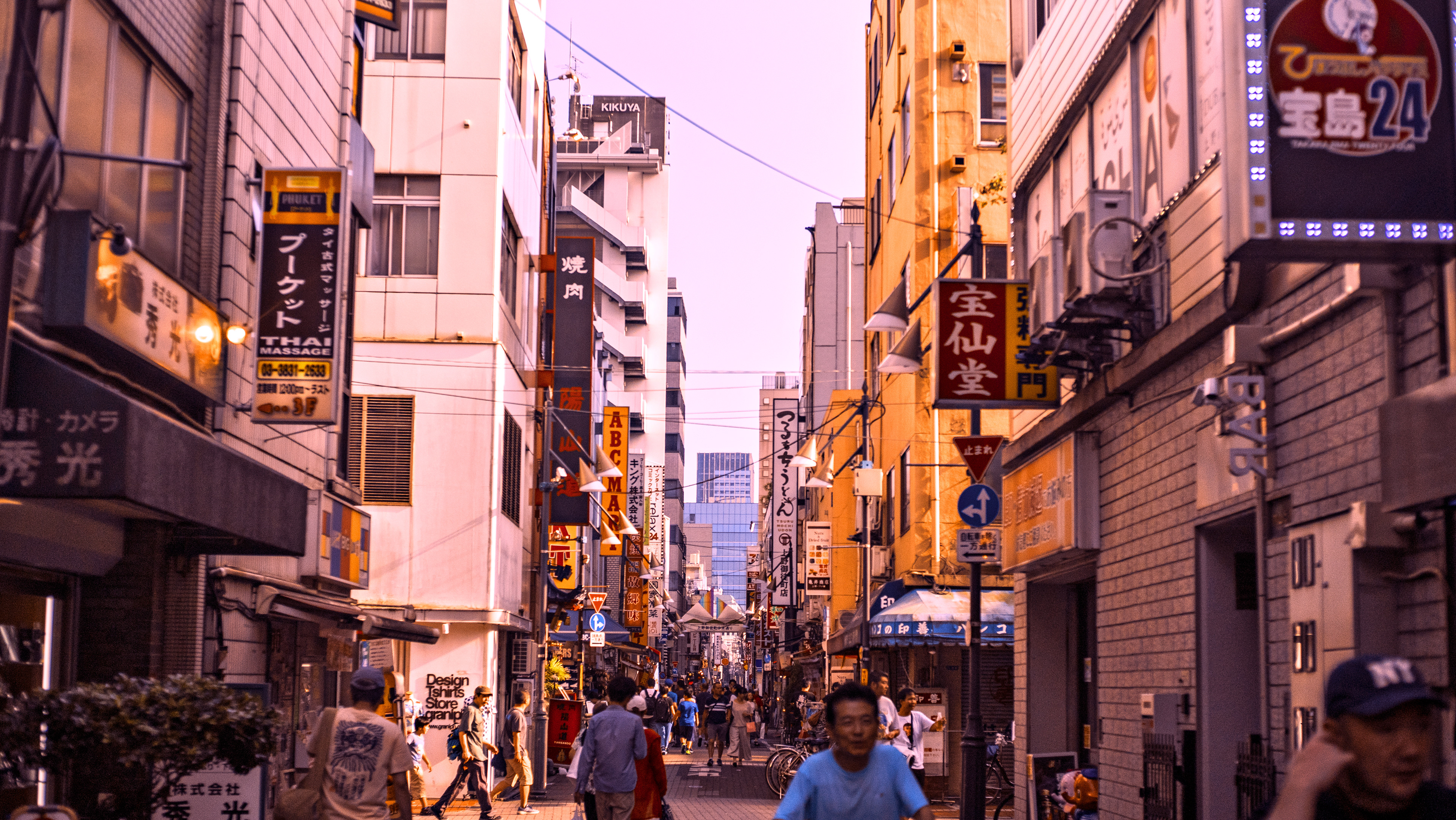 Location: Tokyo, Ueno, Japan (2019)