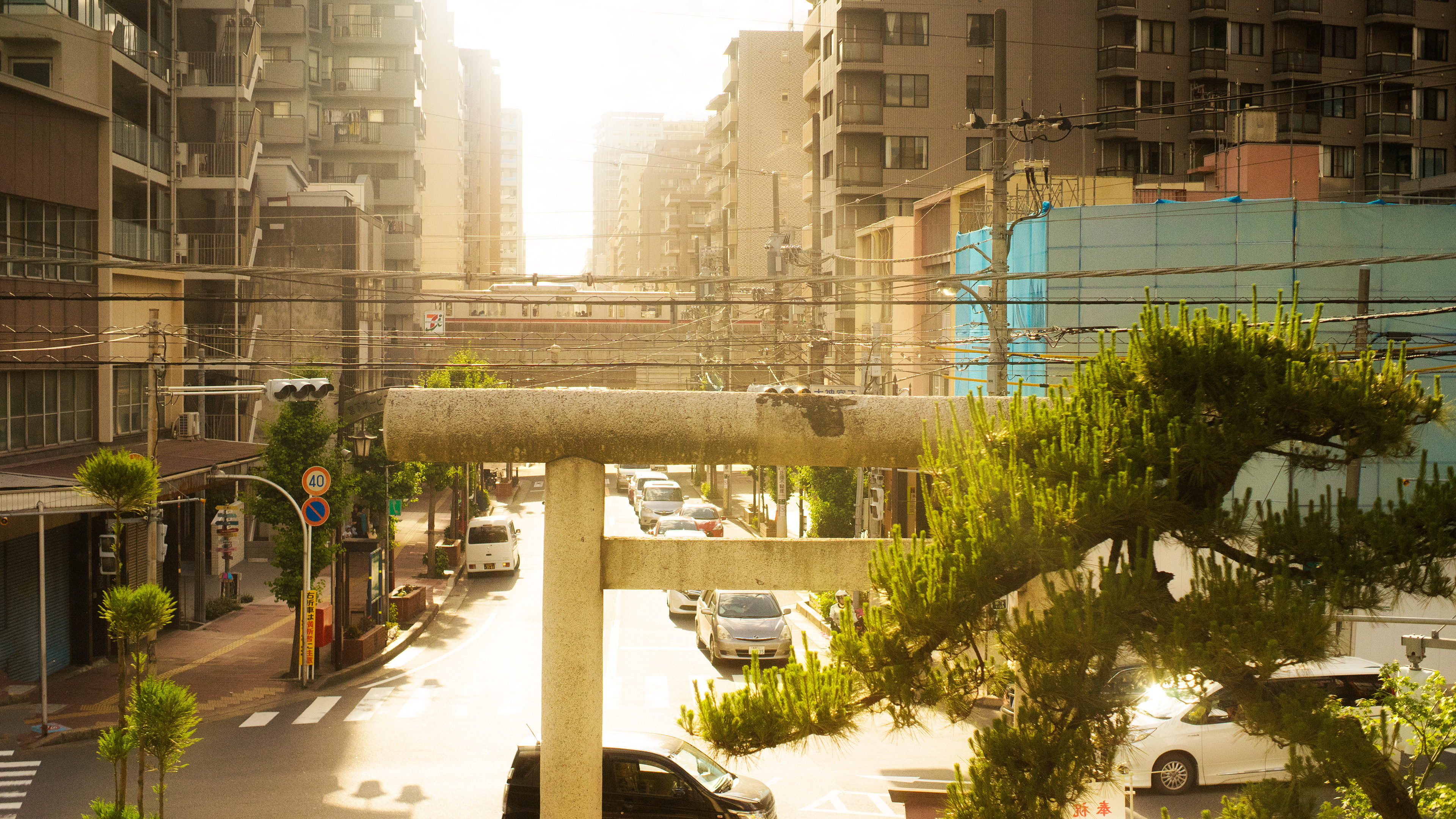 Location: Chiba, Funabashi, Japan (2019)