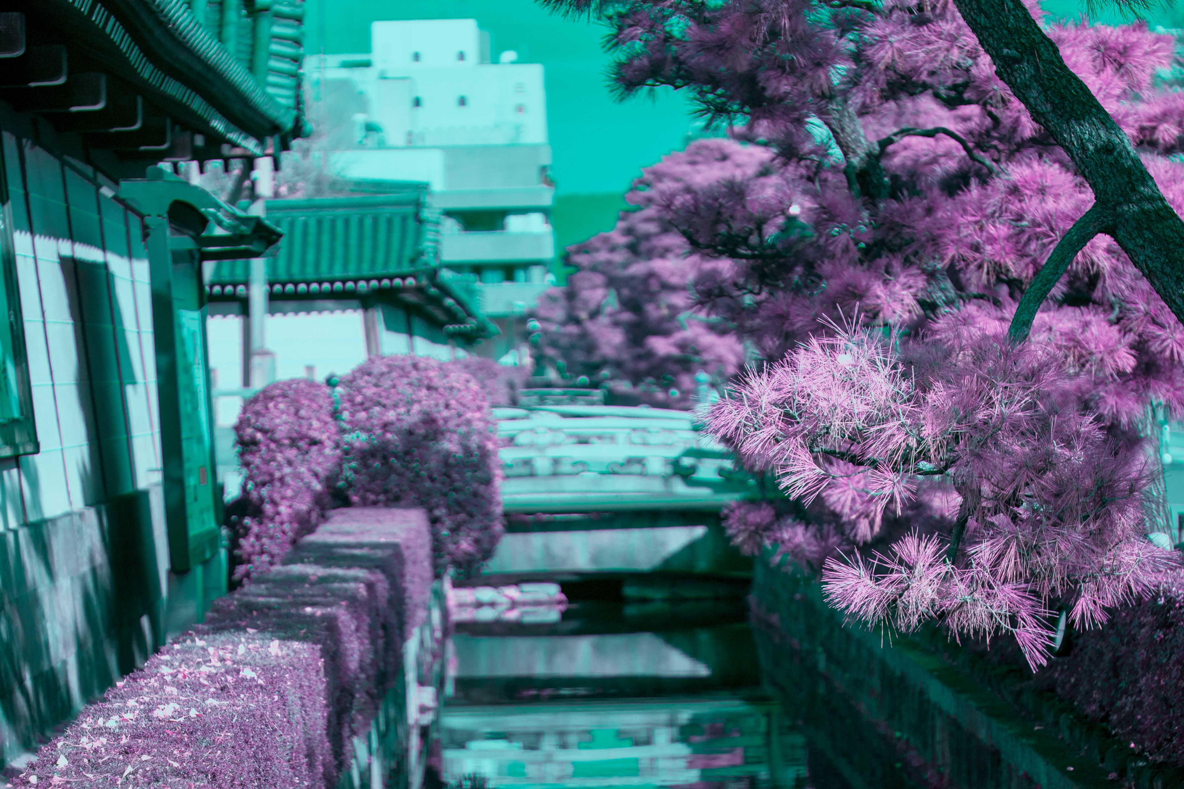 Location: Kyoto (2018)