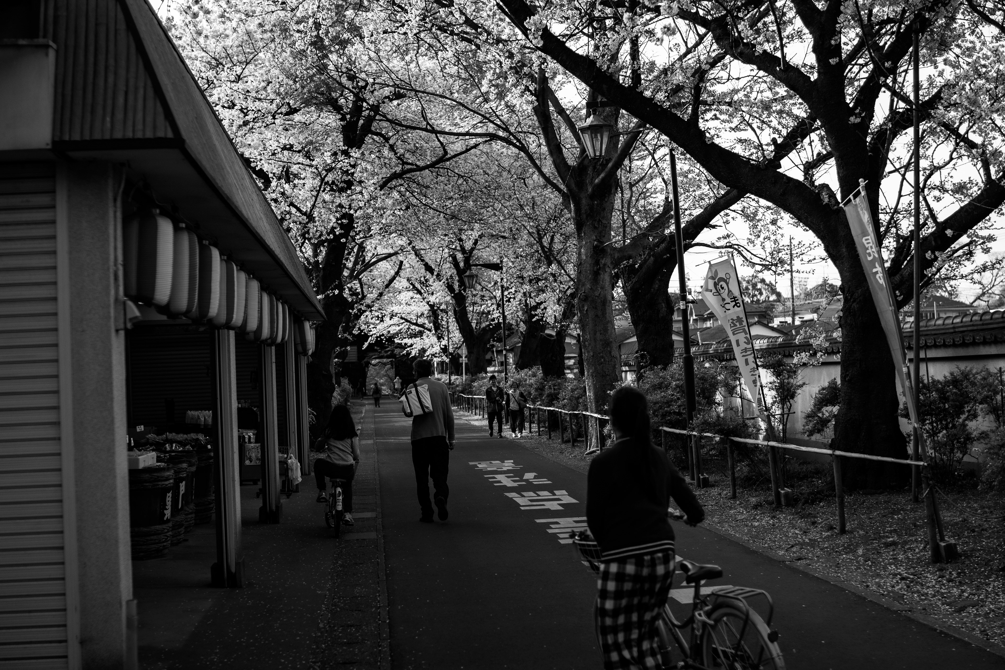 Location: Chiba, Hondo-ji Temple, Japan (2019)