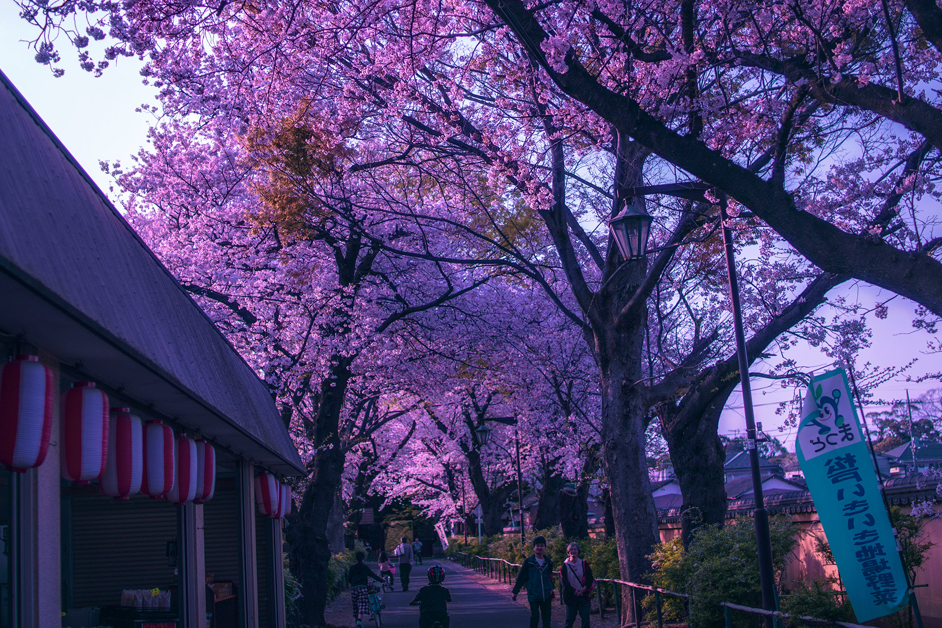 Location: Chiba, Hondo-ji Temple, Japan (2019)