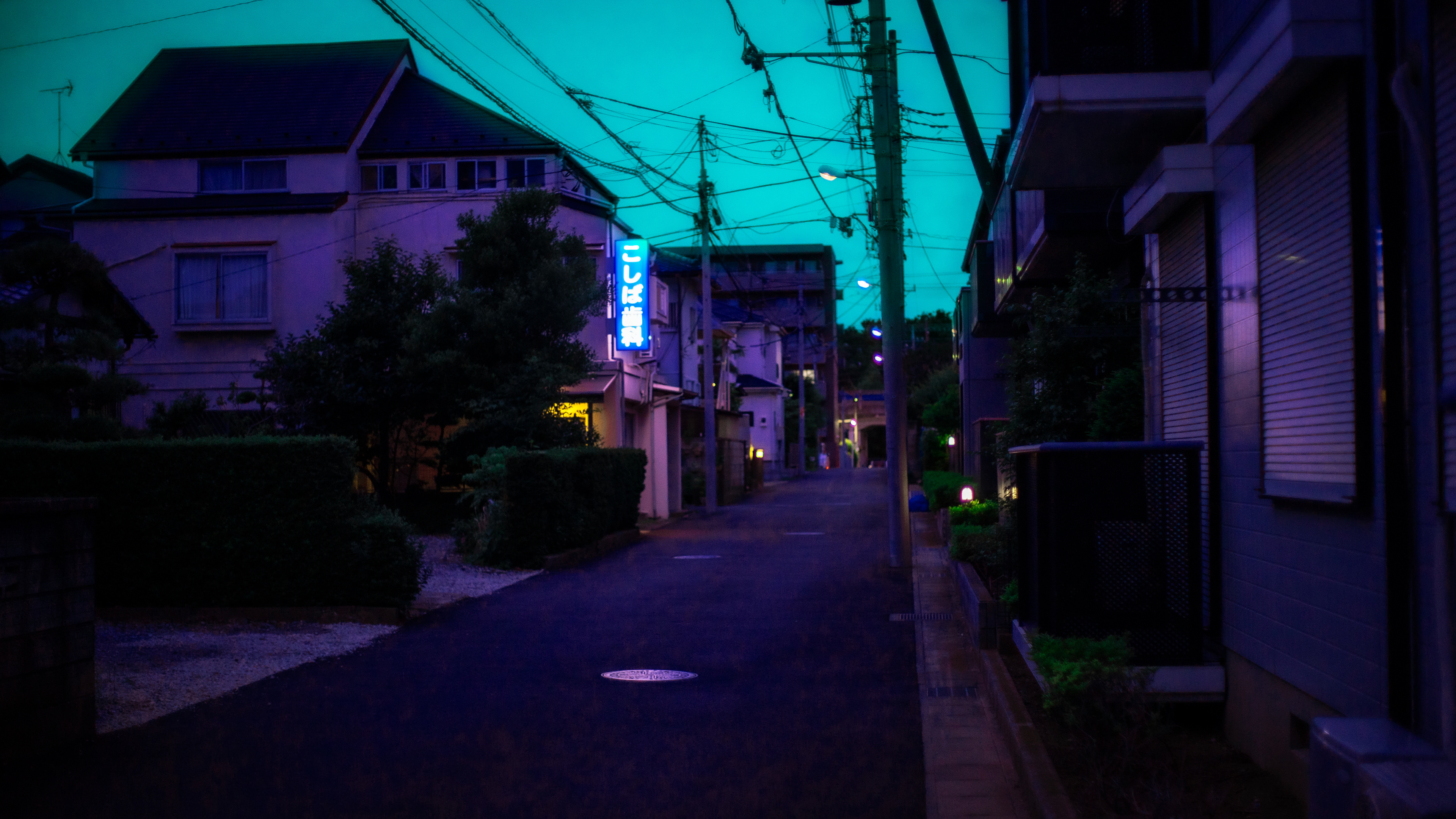 Location: Chiba, Kamagaya, Japan   (2019)