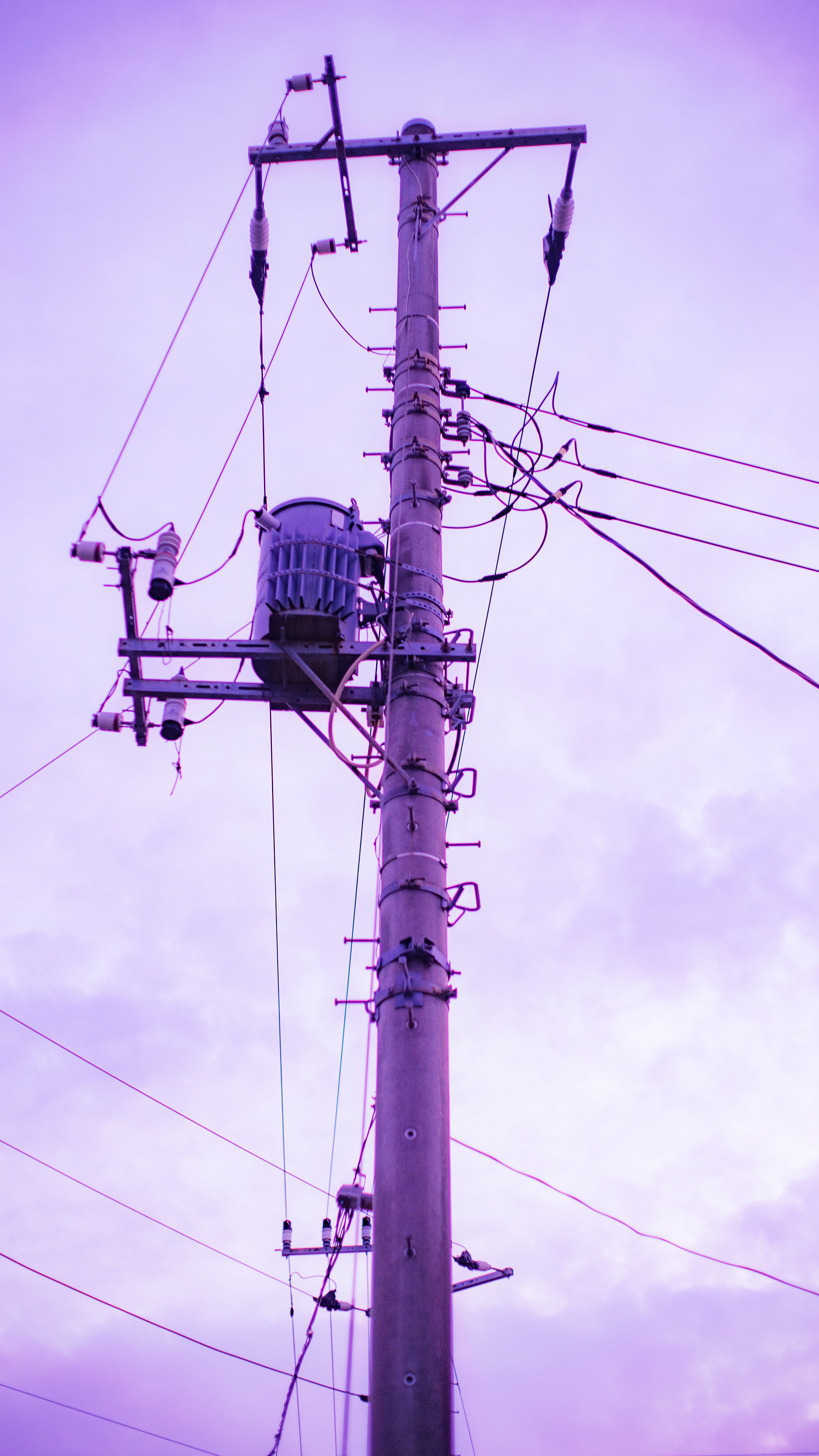 Location: Chiba, Kamagya, Japan (2019)