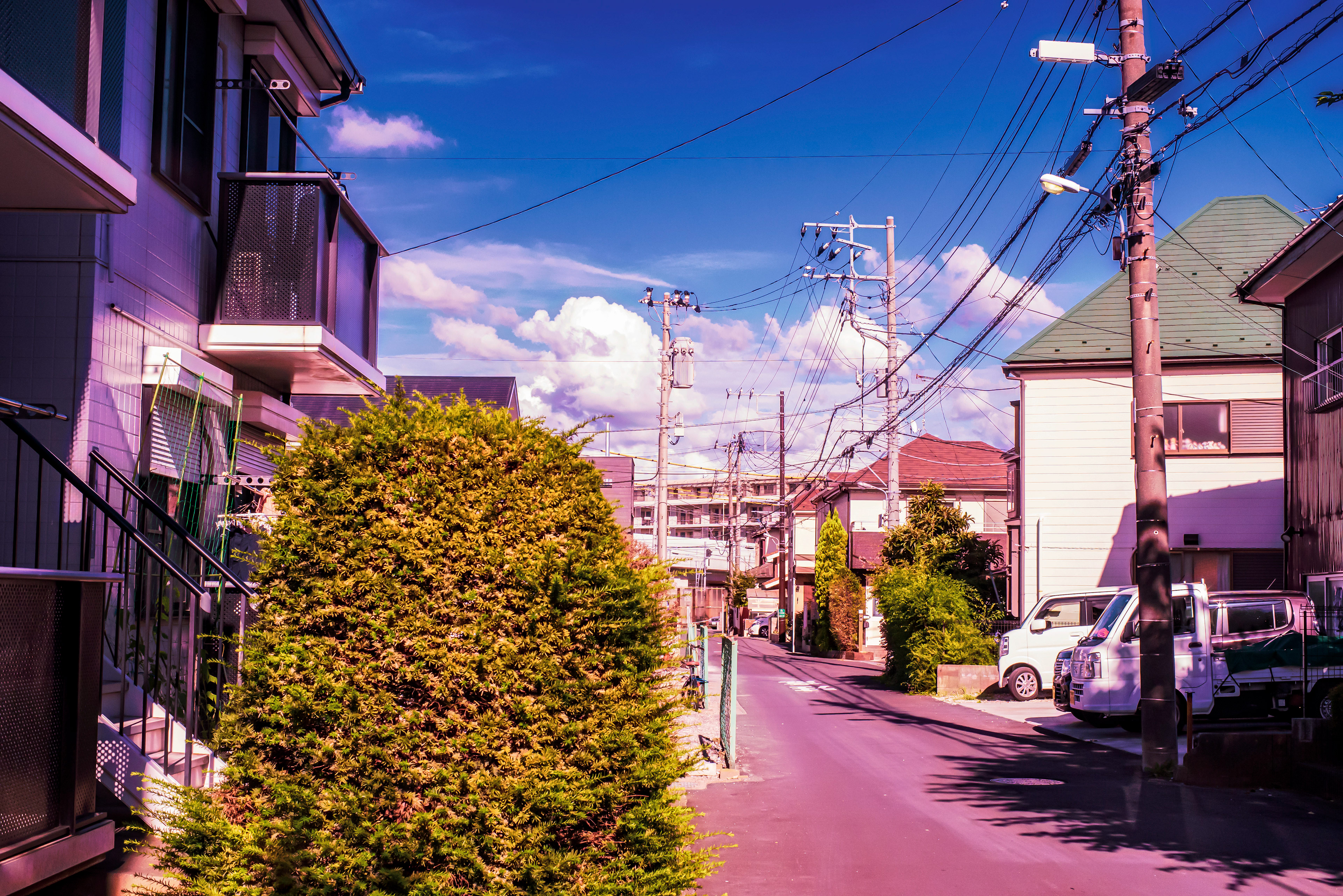 Location: Chiba, Kamagya , Japan (2019)