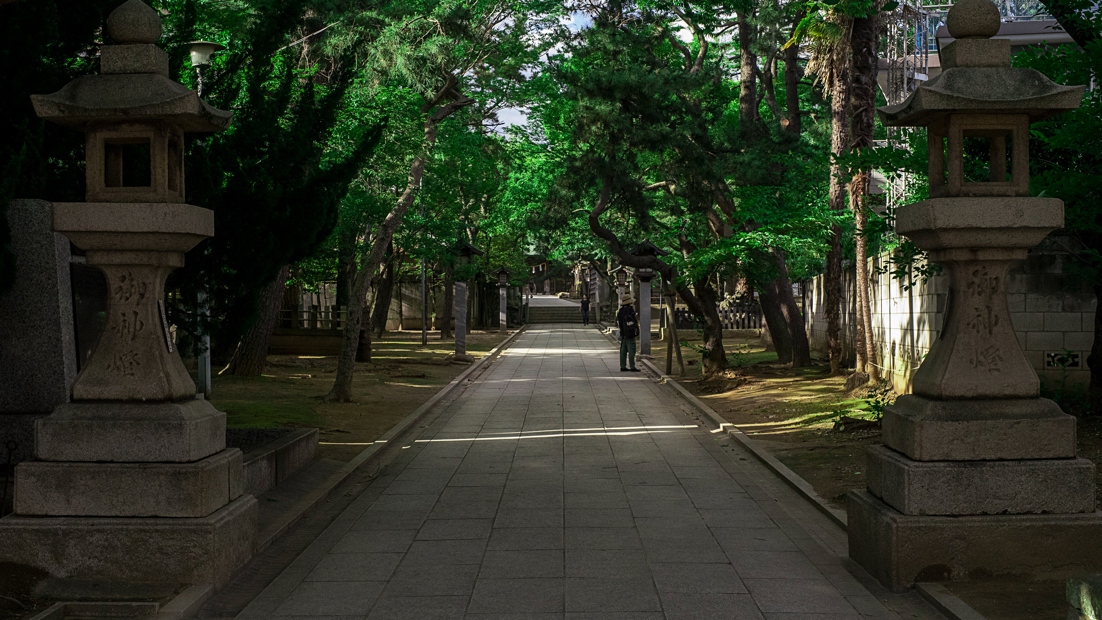 Location: Chiba, Funabashi, Japan  (2019)
