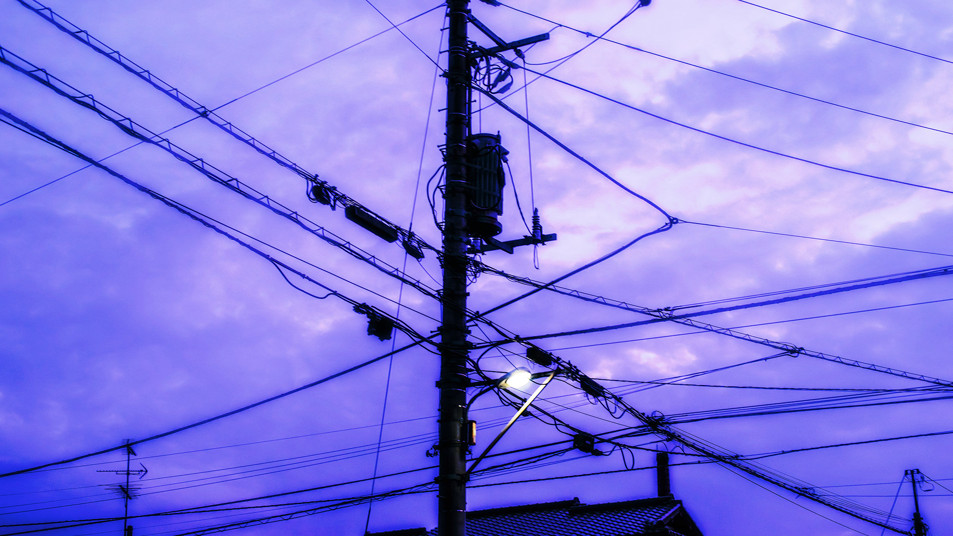 Location: Chiba, Kamagya, Japan (2019)