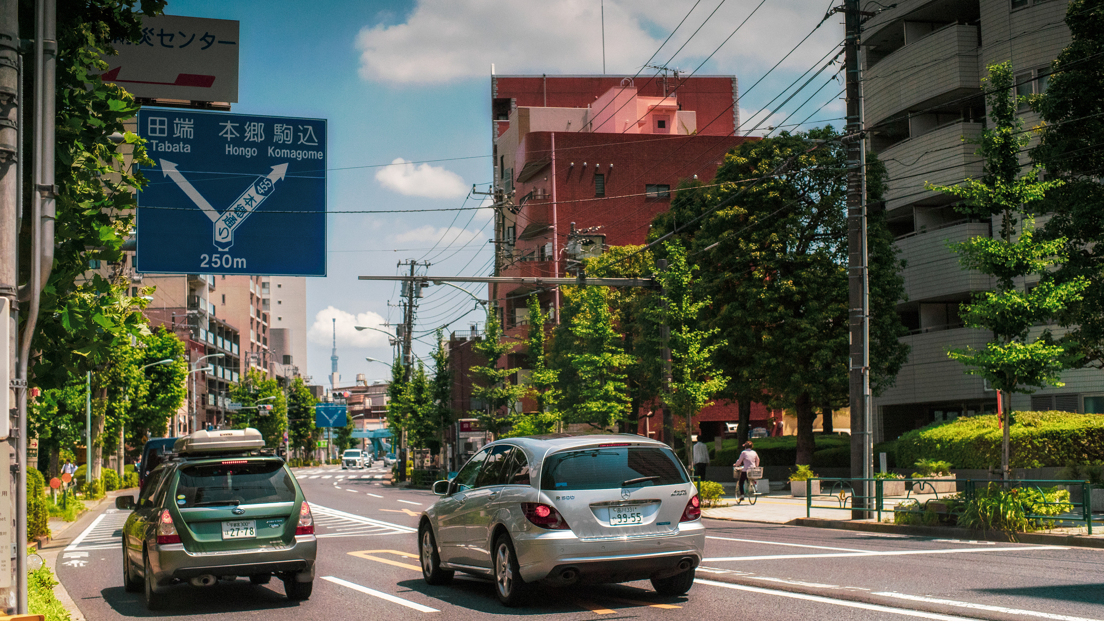 Location: Tokyo, Harajuku, Japan (2019)