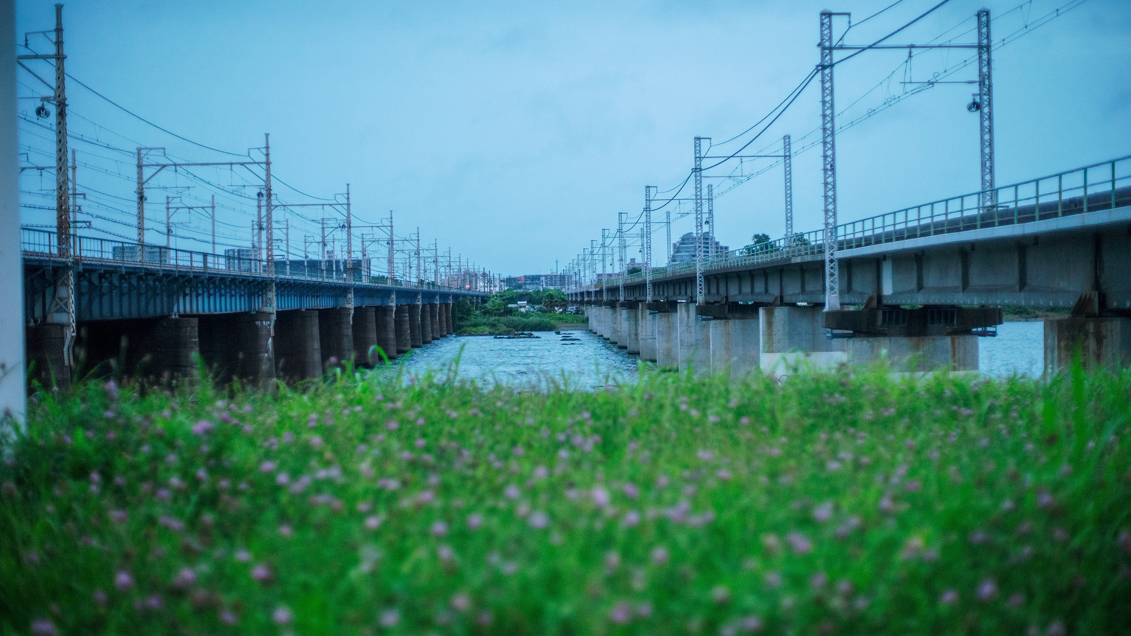Location: Kanagawa, Hiratsuka, Japan (2019)