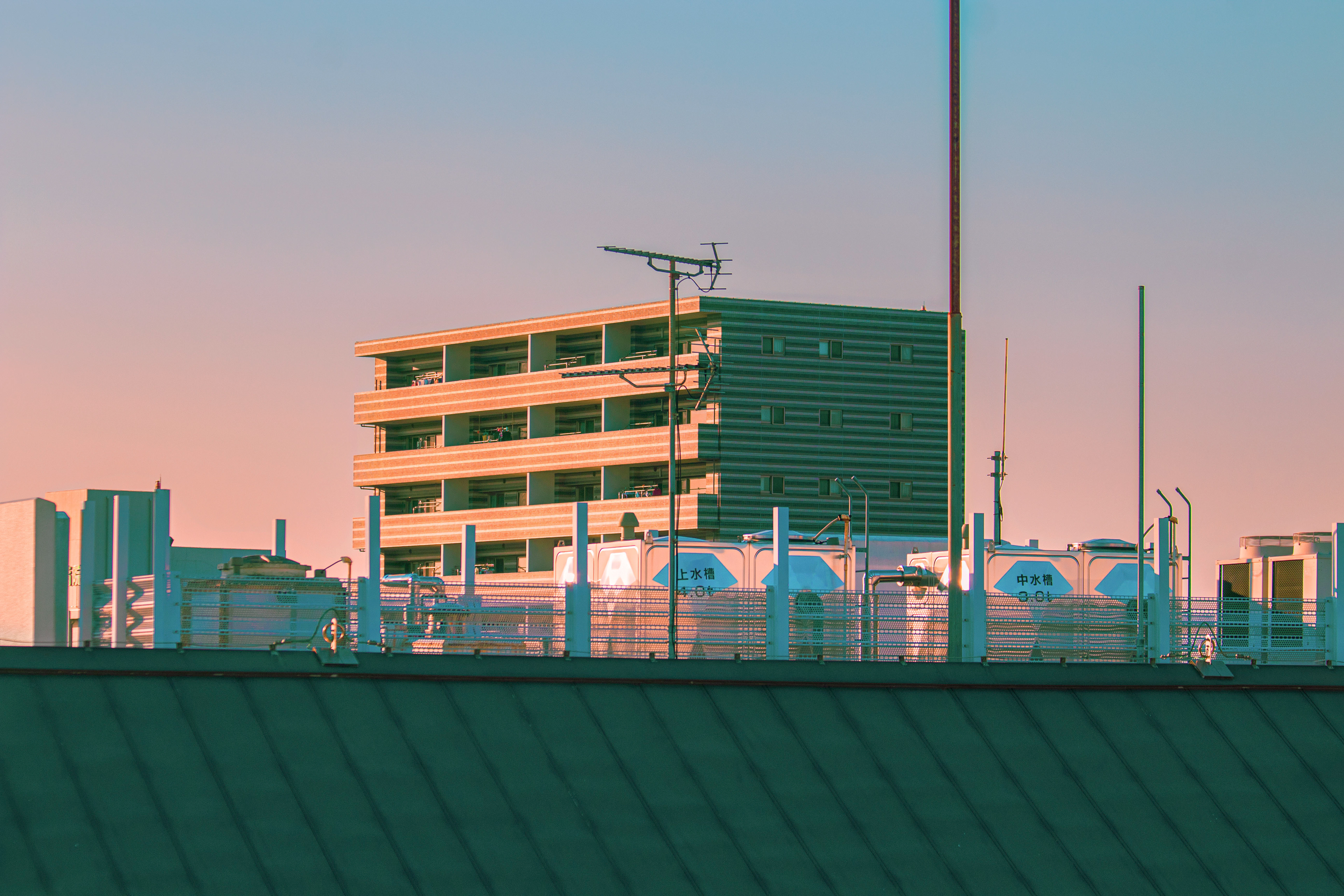 Location: Chiba, Kamagaya, Japan (2019)