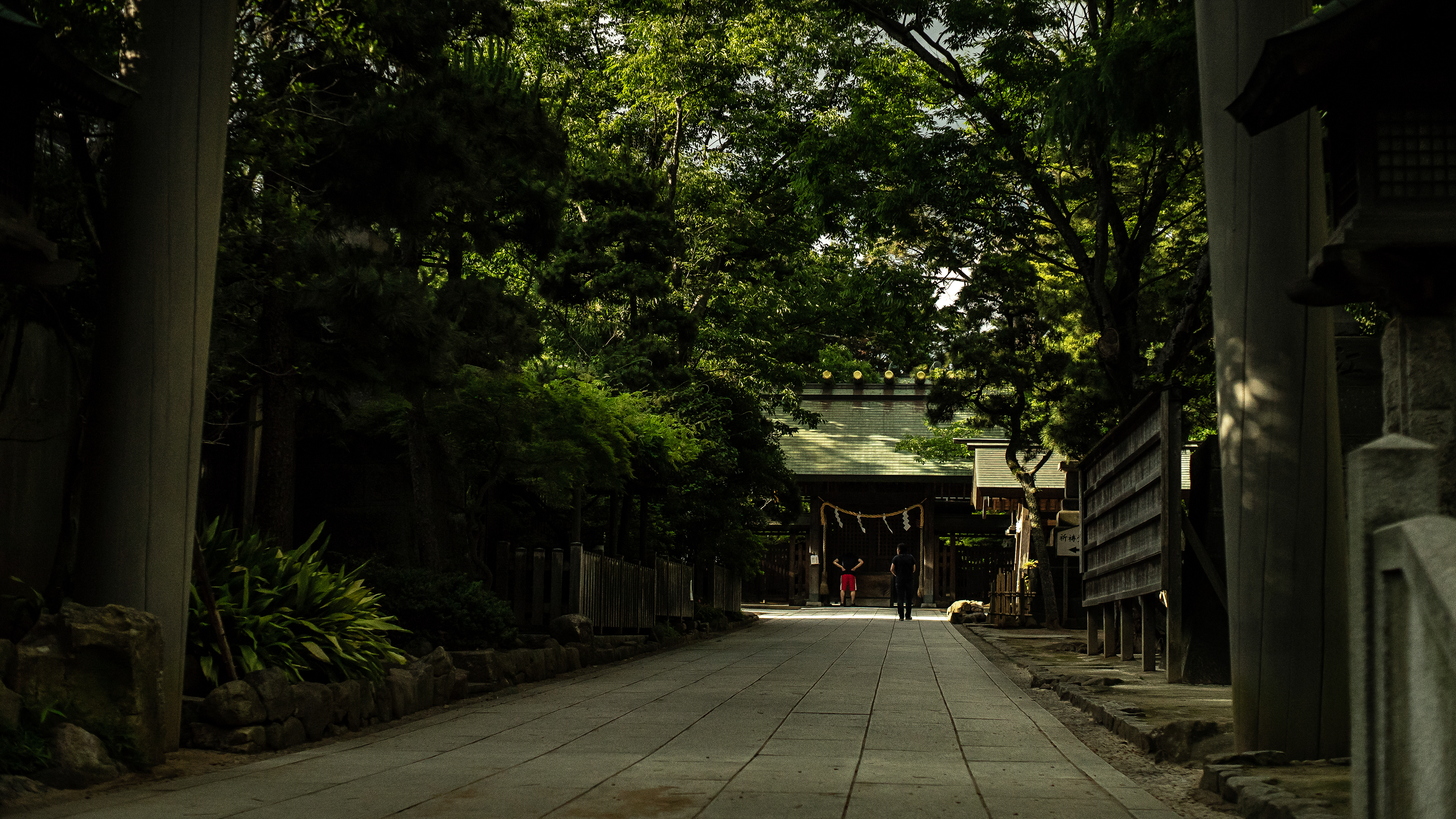 Location: Chiba, Funabashi, Japan (2019)