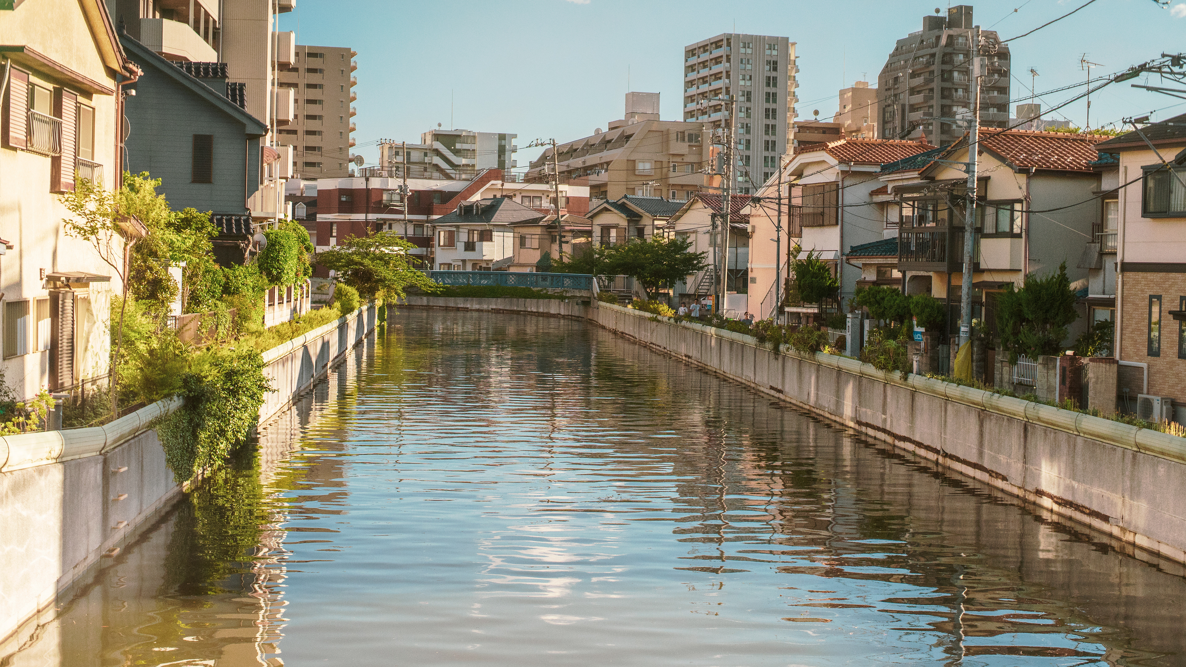 Location: Chiba, Funabashi , Japan (2019)