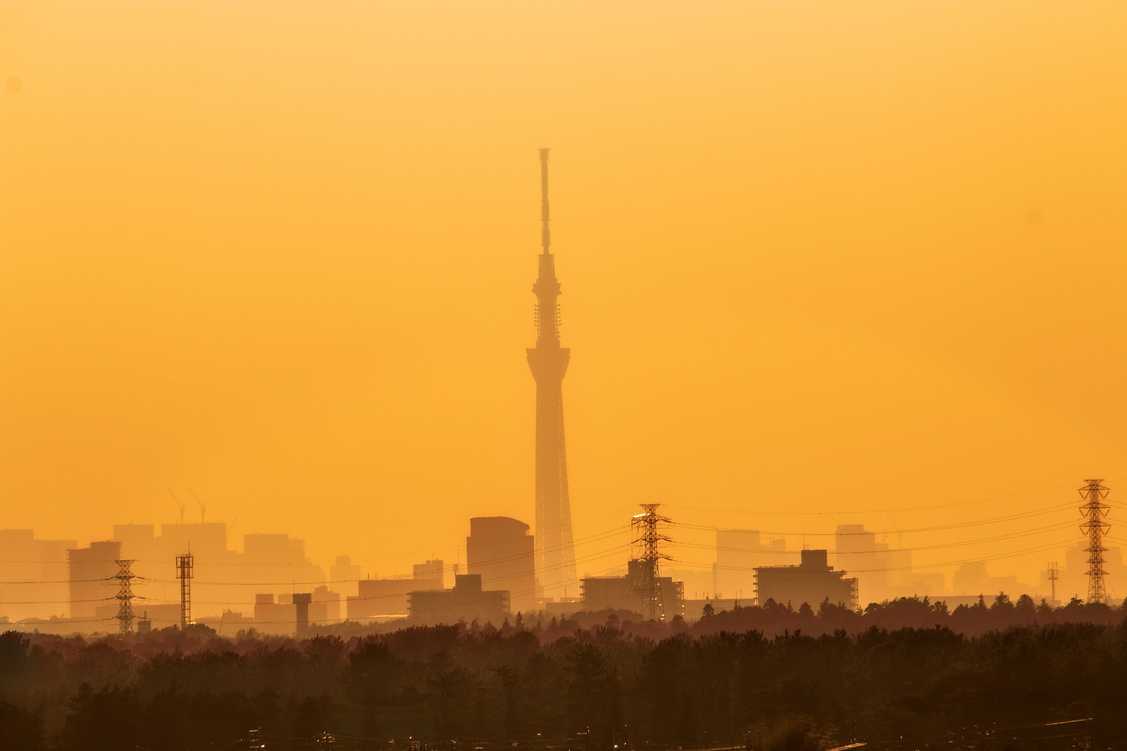 Location: Chiba, Kamagaya, Japan   (2019)