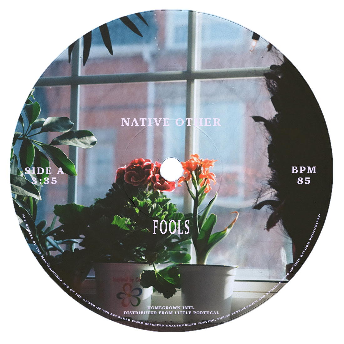 Native Other - Fools | Cover Art