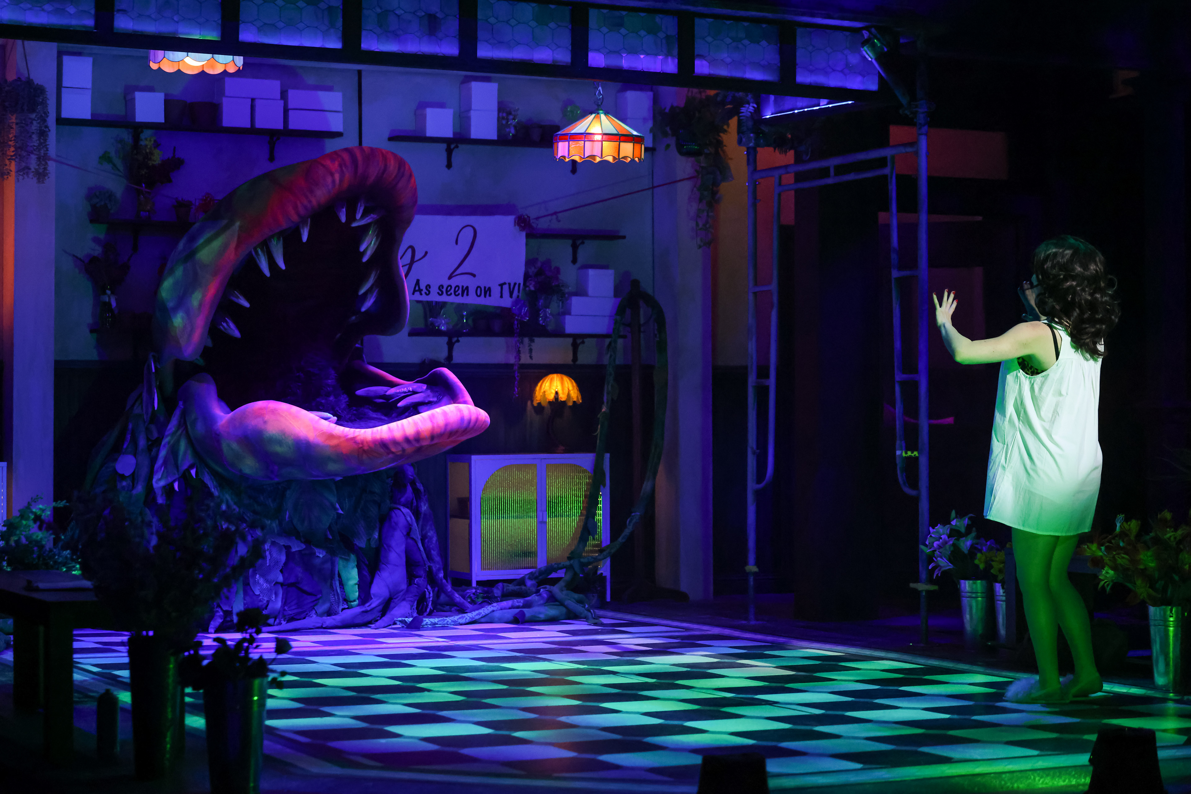 Puppet Rental from Matthew McAvene