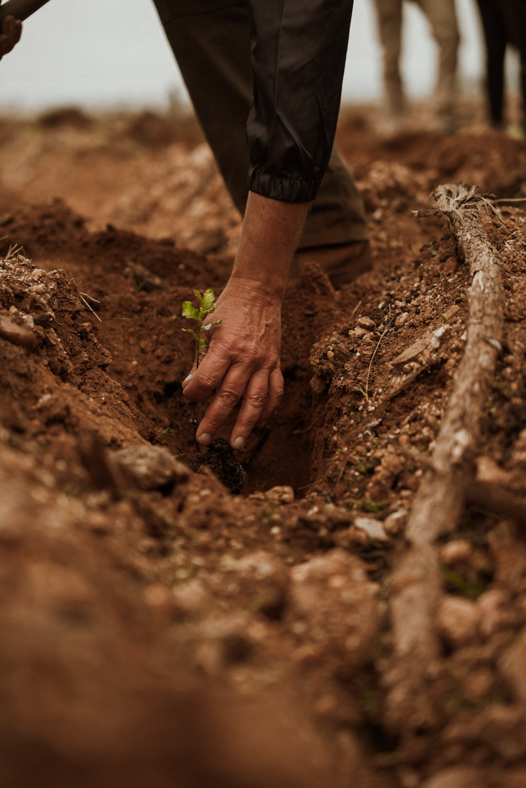 Amorim Sustainable Action