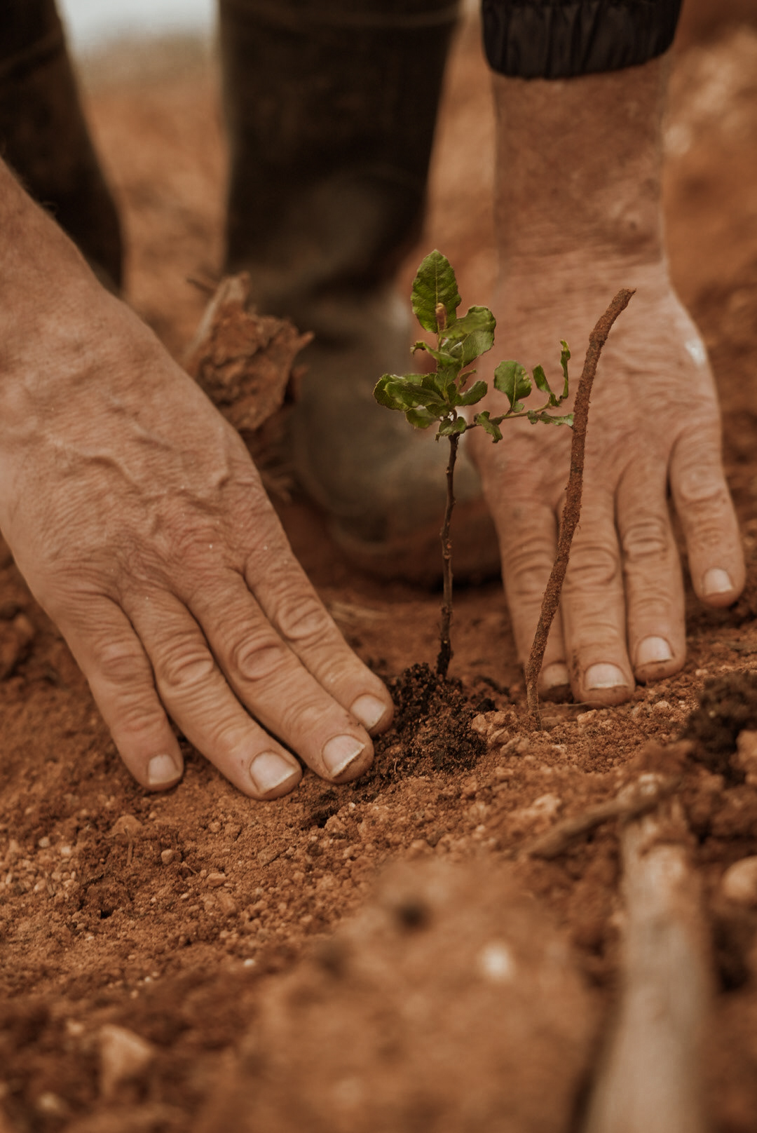 Amorim Sustainable Action