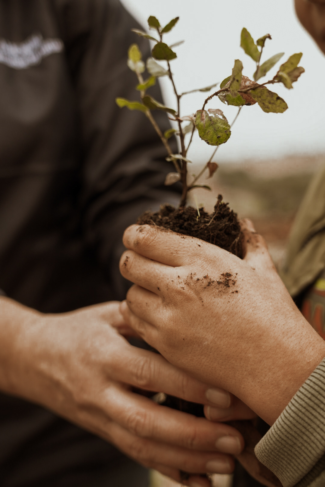 Amorim Sustainable Action