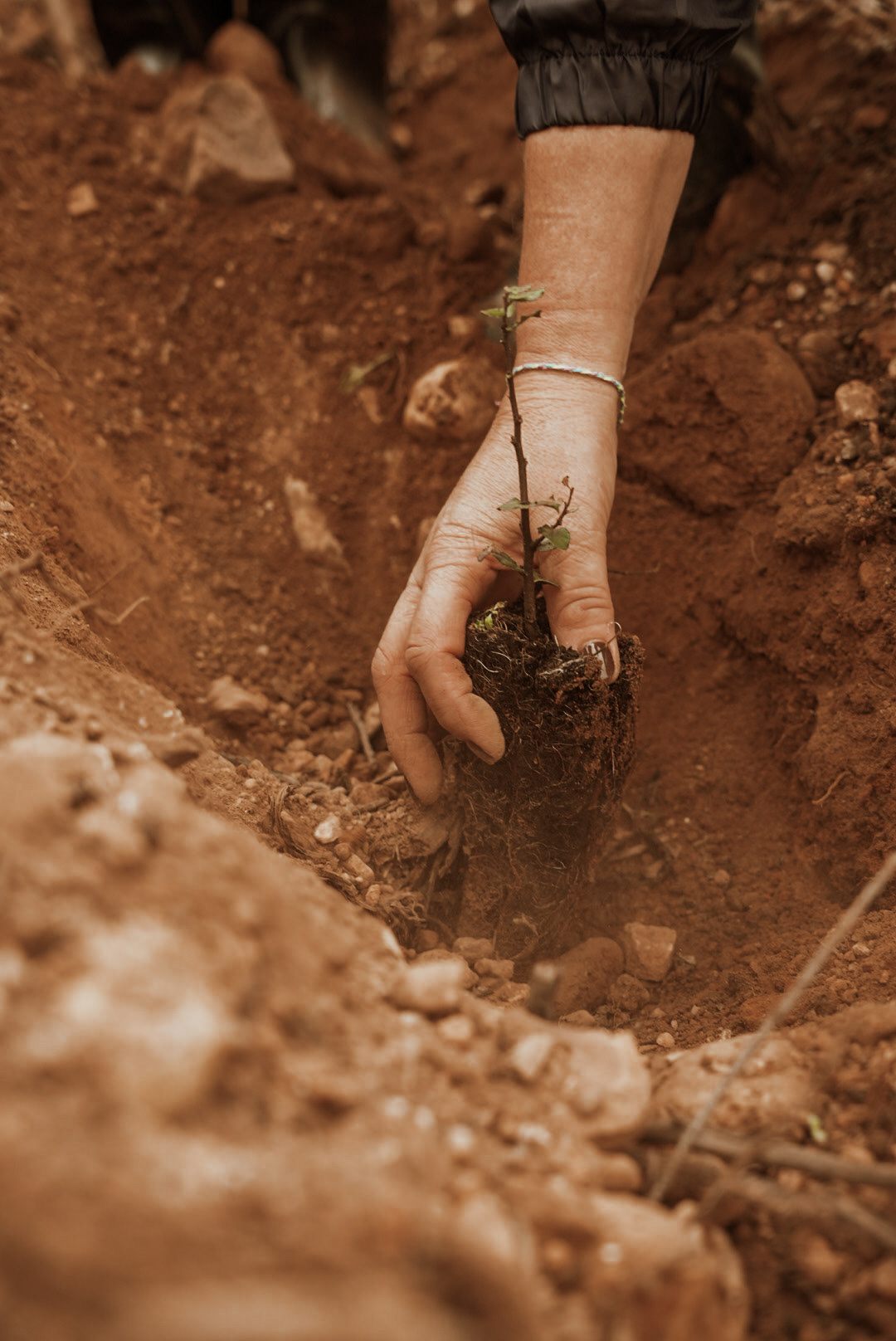Amorim Sustainable Action
