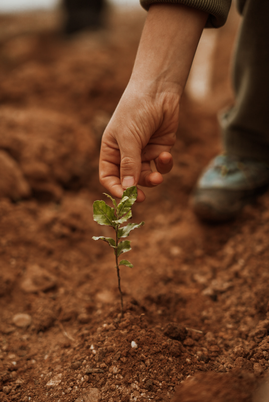 Amorim Sustainable Action